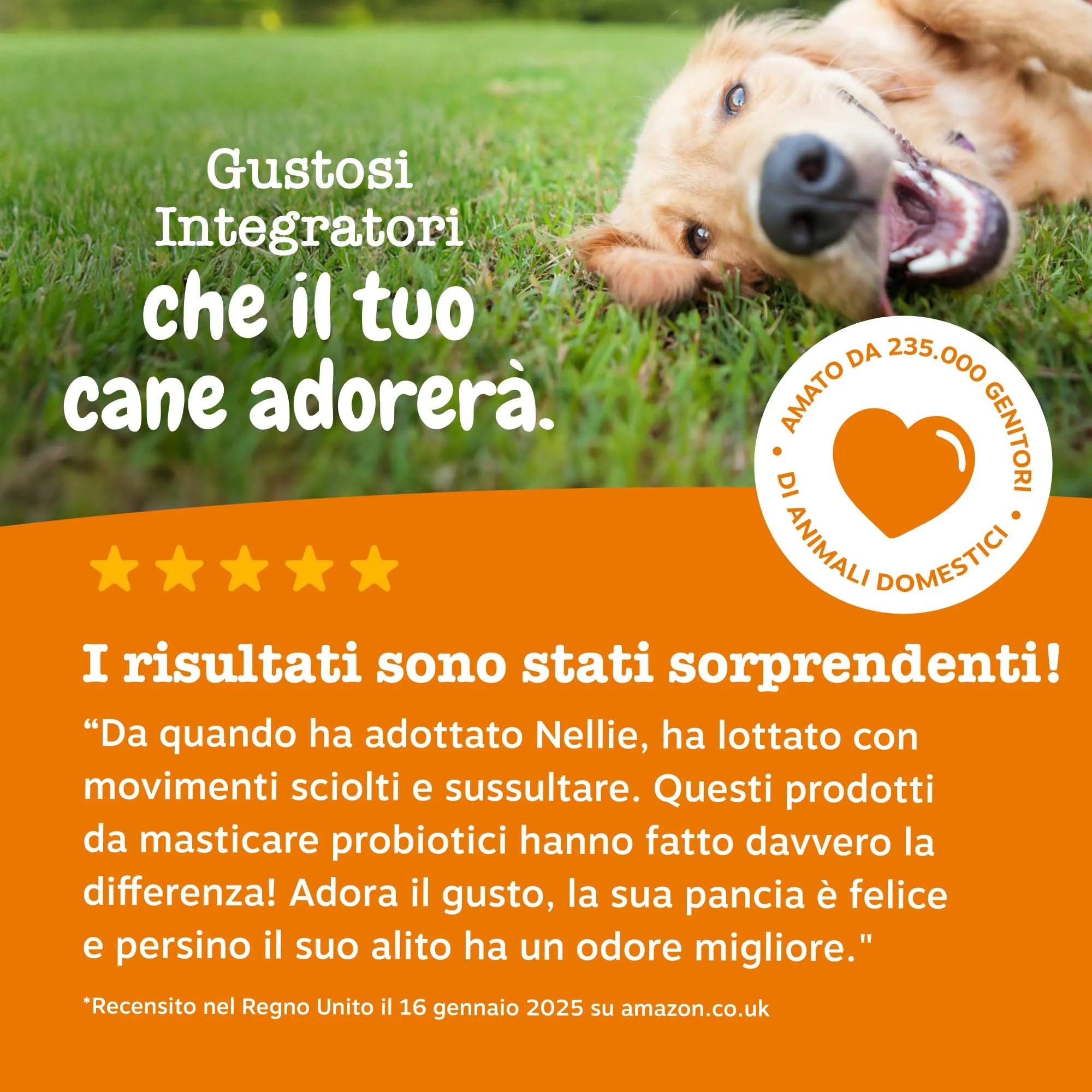 Zesty Paws Prebiotici, Probiotici e Postbiotici per Cani – 90 Bocconcini - immagine 7