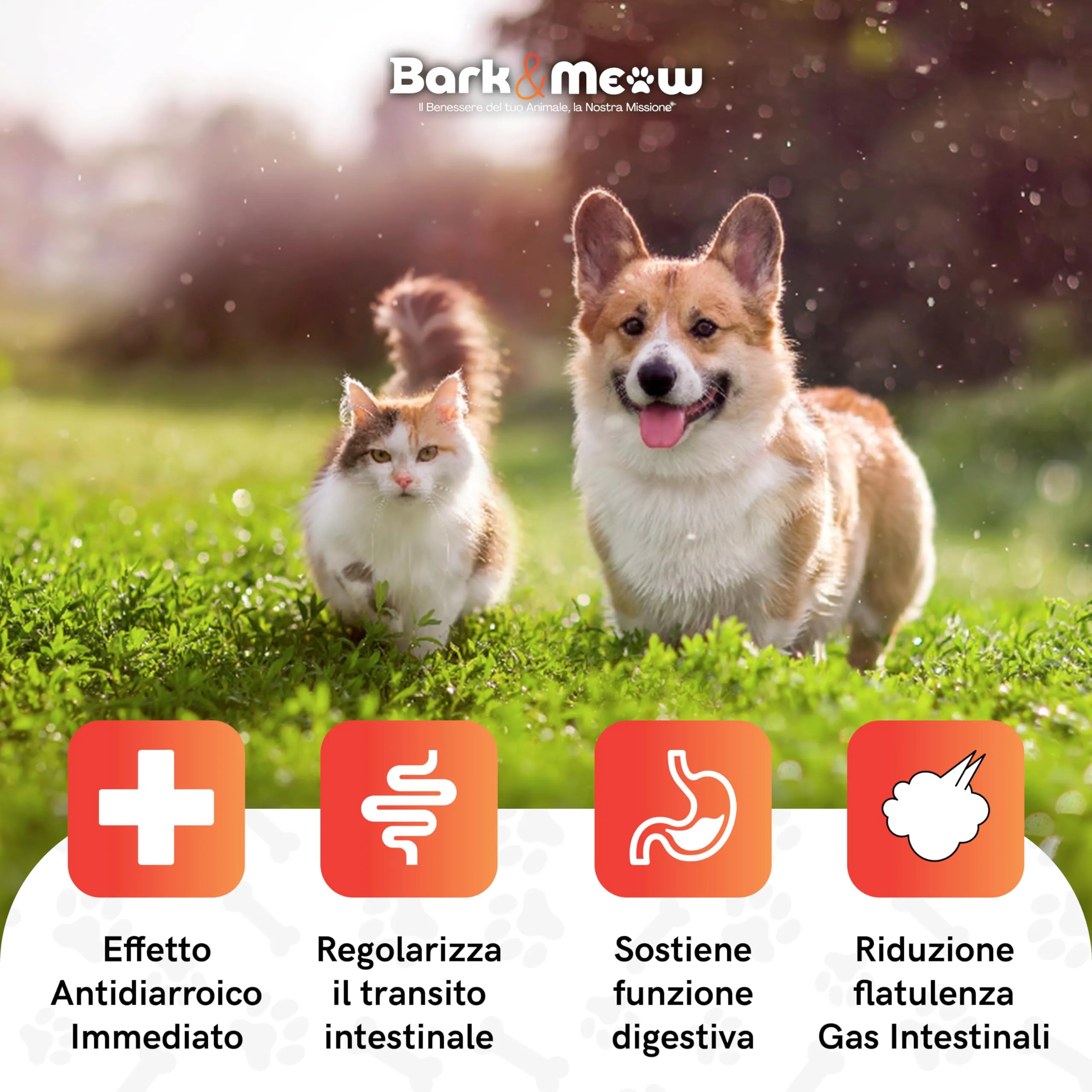 DiarBlock Rapid Antidiarroico ad azione immediata per cani e gatti. Efficace dalle prime somministrazioni. 15 compresse - immagine 2
