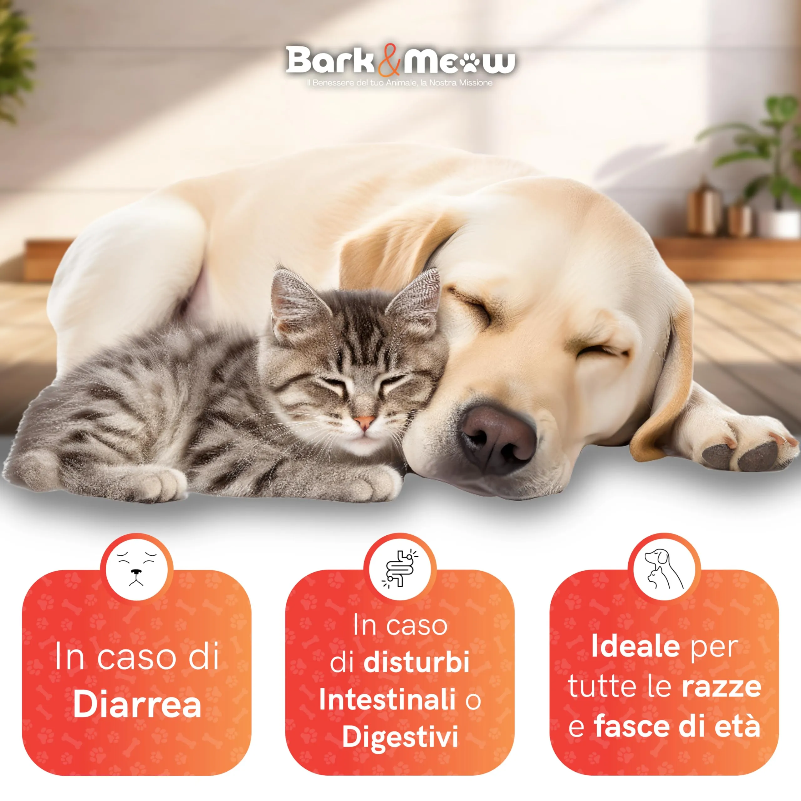 DiarBlock Rapid Antidiarroico ad azione immediata per cani e gatti. Efficace dalle prime somministrazioni. 15 compresse - immagine 4