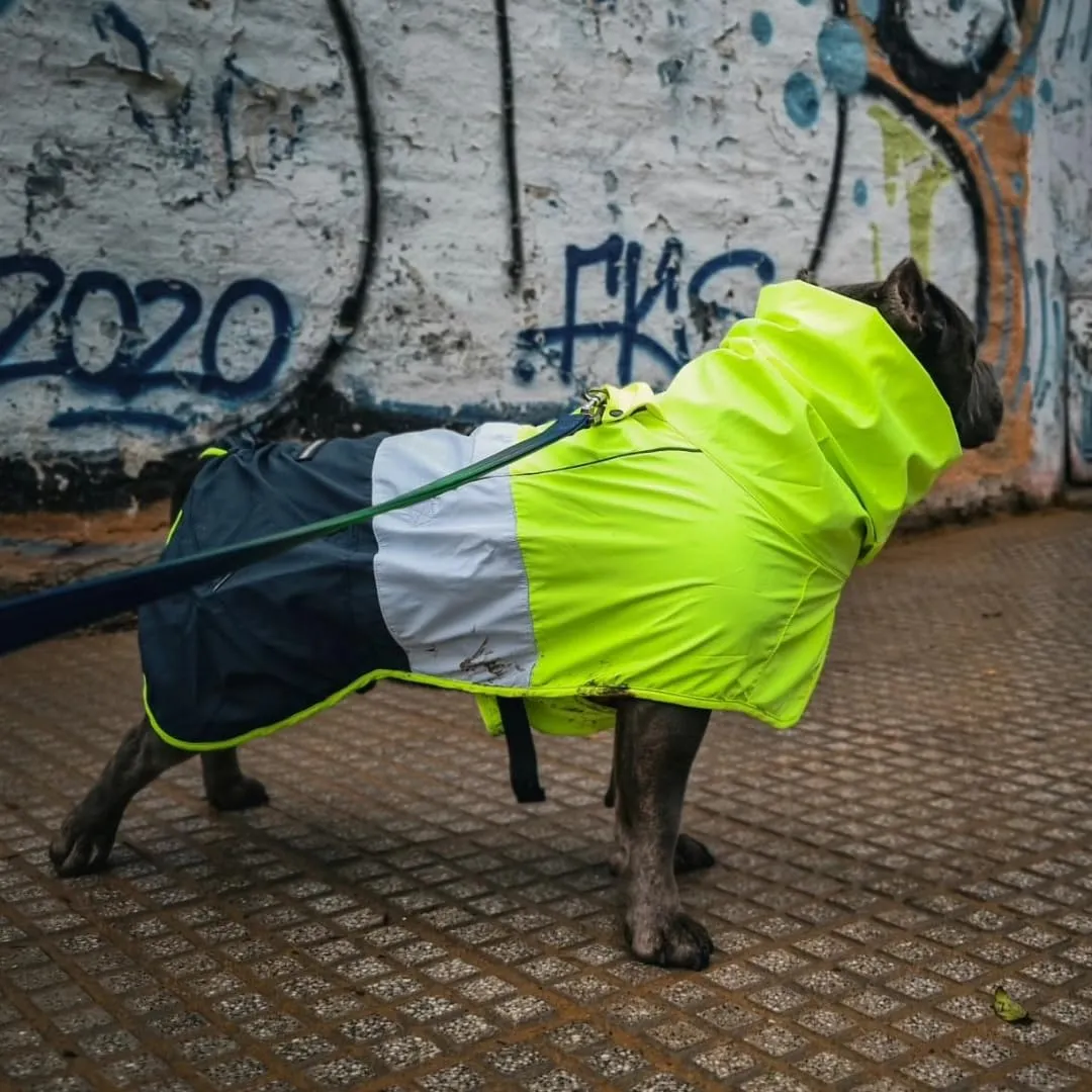 Spark Paws Breatheshield™ - Impermeabile per cani - Protezione e comfort per tutte le stagioni - Comfort traspirante, vestibilità adattiva e miglioramenti di sicurezza - Neon White Navy Blue, L - immagine 6