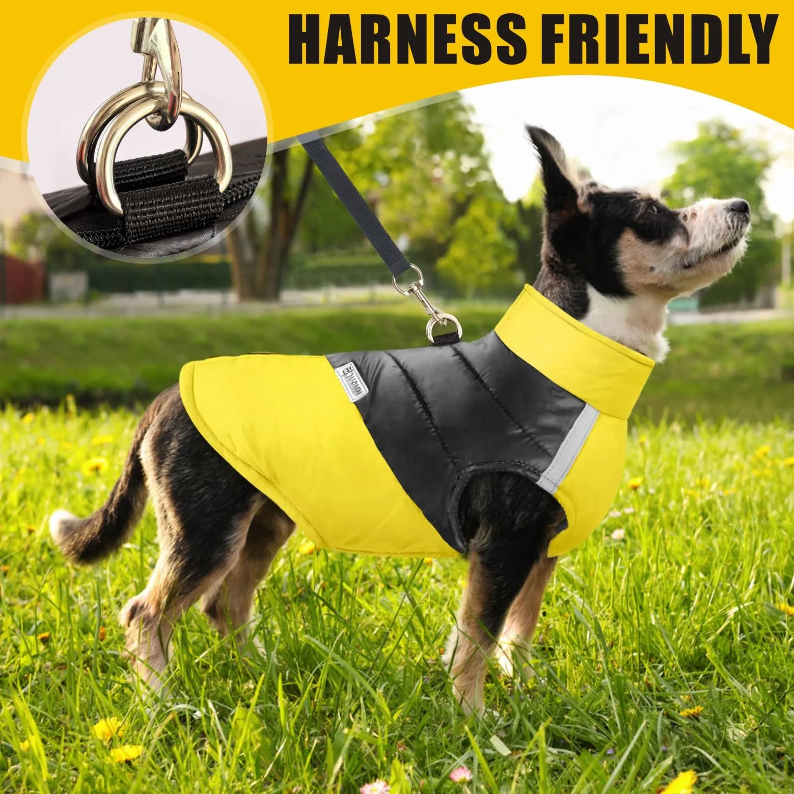 Idepet Cappottino invernale impermeabile, per cane/gatto taglia piccola, media e grande, S M L XL XXL 3XL 4XL 5XL (Giallo, 4XL) - immagine 3