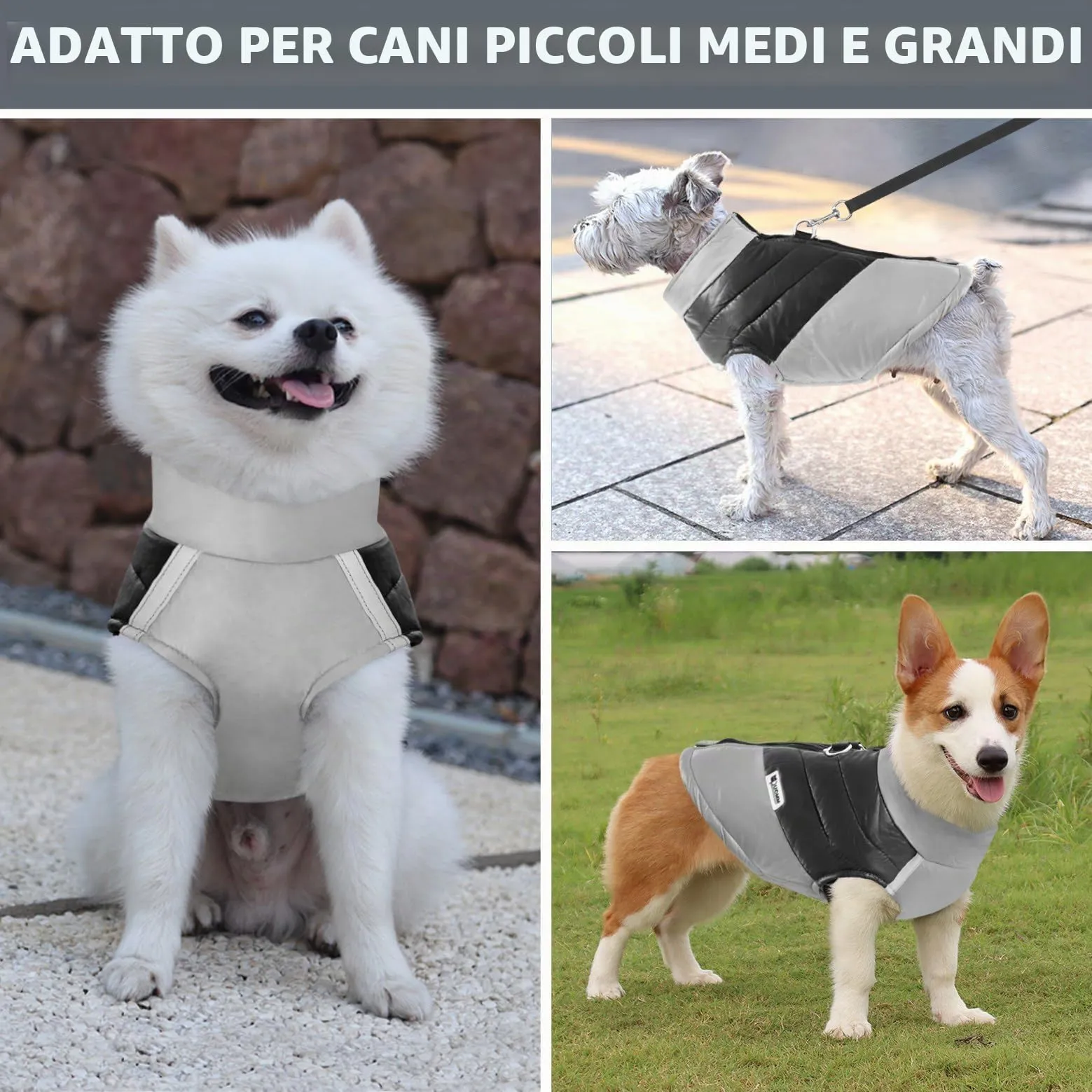 Idepet Cappottino invernale impermeabile, per cane/gatto taglia piccola, media e grande, S M L XL XXL 3XL 4XL 5XL (Grigio, XL) - immagine 3
