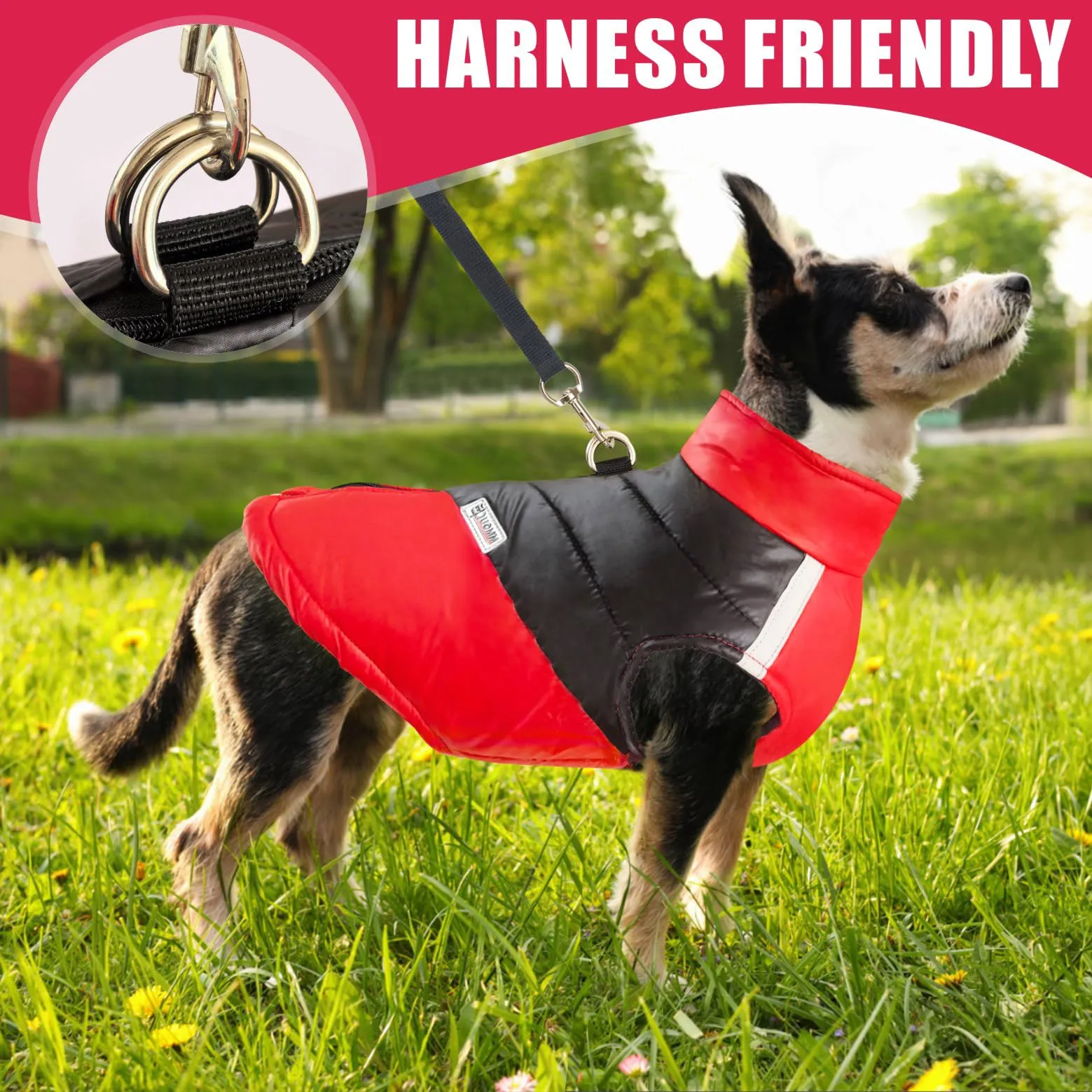 Idepet Cappottino invernale impermeabile, per cane/gatto taglia piccola, media e grande, S M L XL XXL 3XL 4XL 5XL (Rosso chiaro, 3XL) - immagine 3
