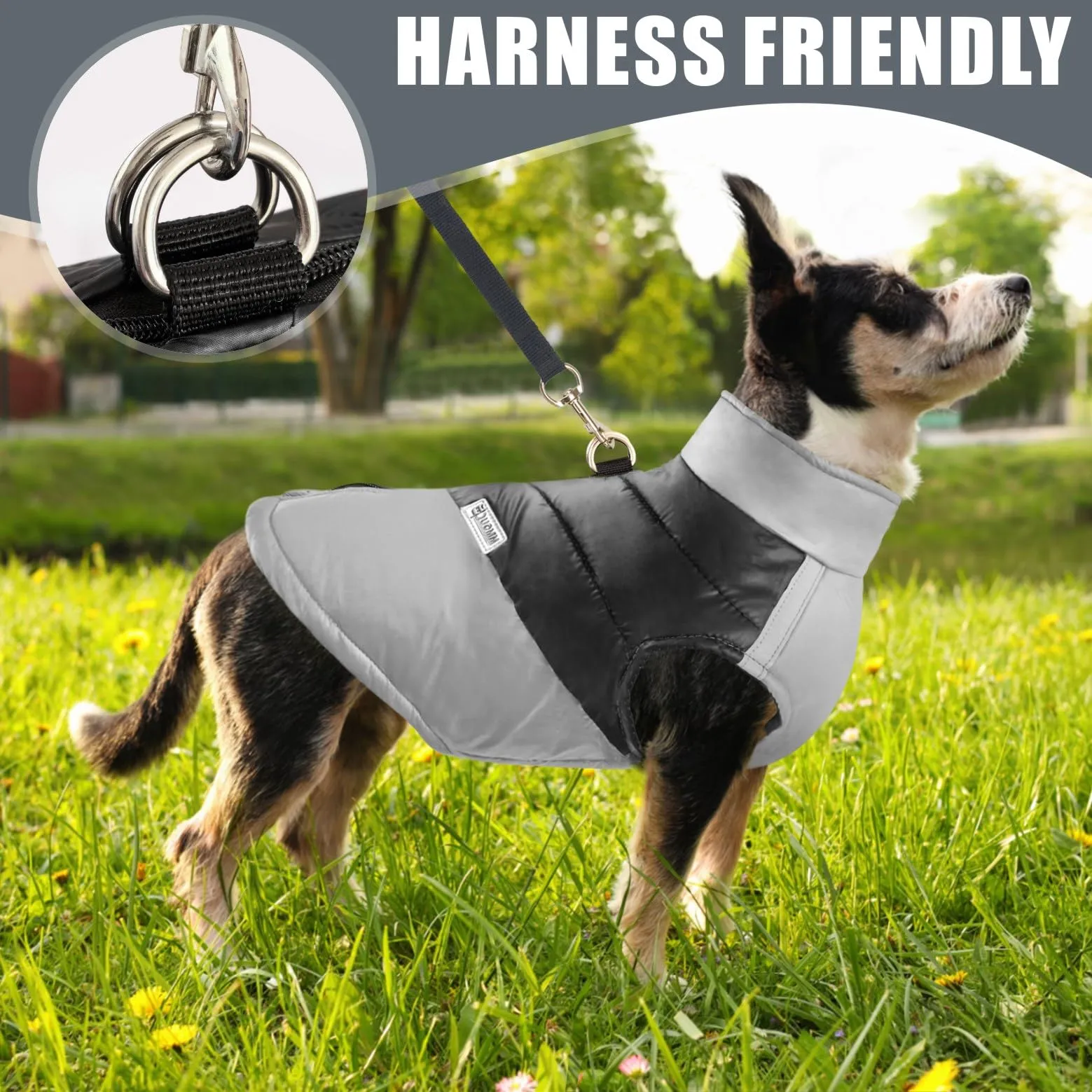 Idepet Cappottino invernale impermeabile, per cane/gatto taglia piccola, media e grande, S M L XL XXL 3XL 4XL 5XL (Grigio, 4XL) - immagine 3