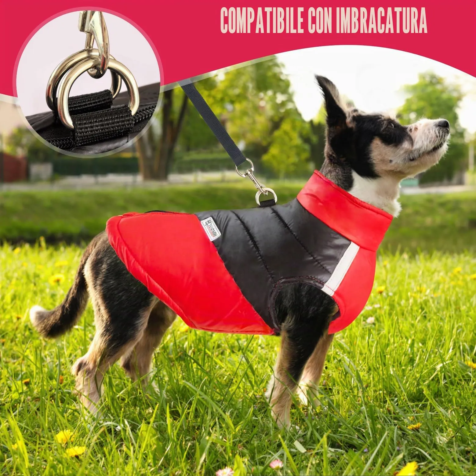 Idepet Cappottino invernale impermeabile, per cane/gatto taglia piccola, media e grande, S M L XL XXL 3XL 4XL 5XL (Rosso chiaro, 2XL) - immagine 3