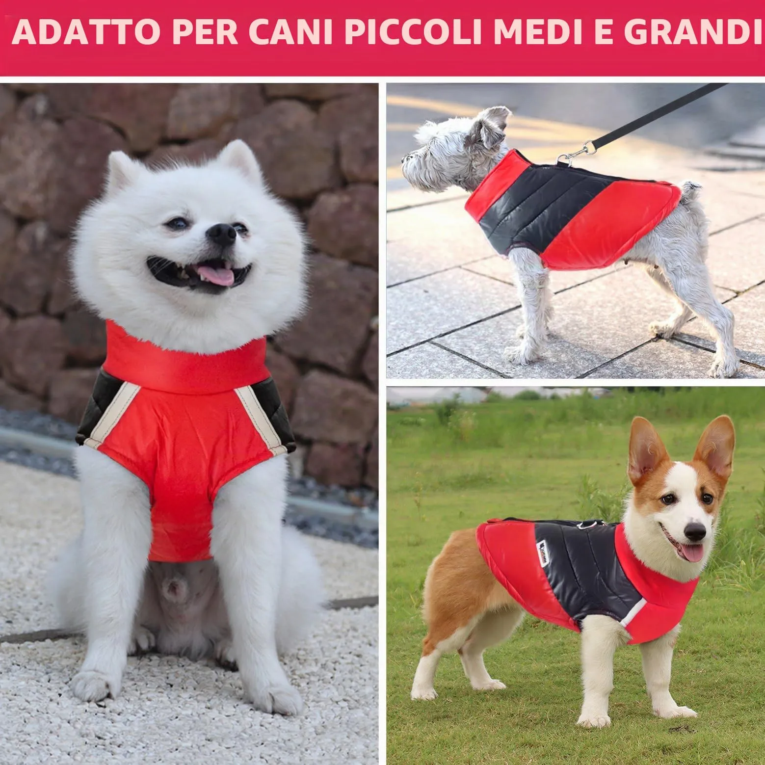 Idepet Cappottino invernale impermeabile, per cane/gatto taglia piccola, media e grande, S M L XL XXL 3XL 4XL 5XL (Rosso chiaro, 2XL) - immagine 5