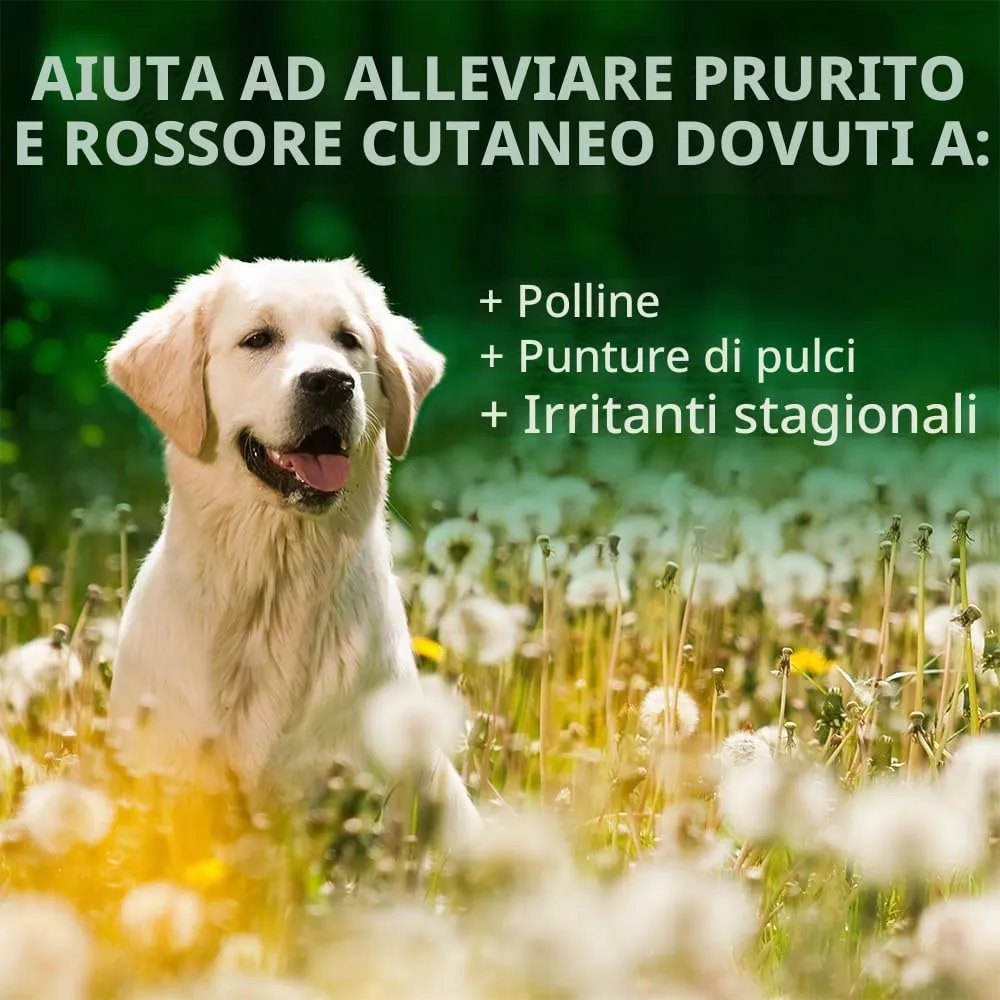 Vet's Best Shampoo Sollievo da Prurito e Allergia - 500Ml - immagine 4
