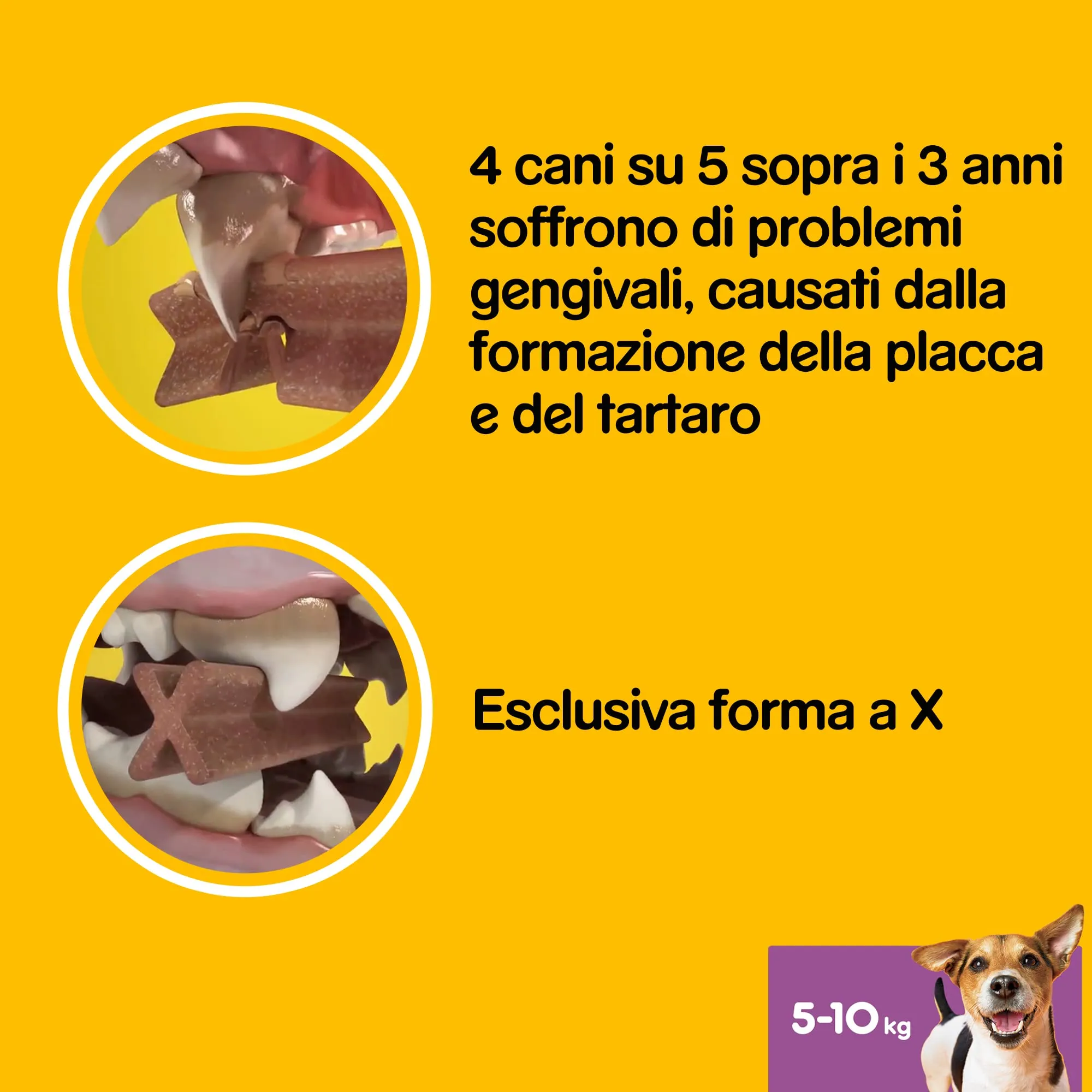 Pedigree Dentastix Snack per la Igiene Orale (Cane Piccolo 5-10 kg) 110 g 7 Pezzi - 10 Confezioni da 7 Pezzi (70 Pezzi totali) - immagine 2