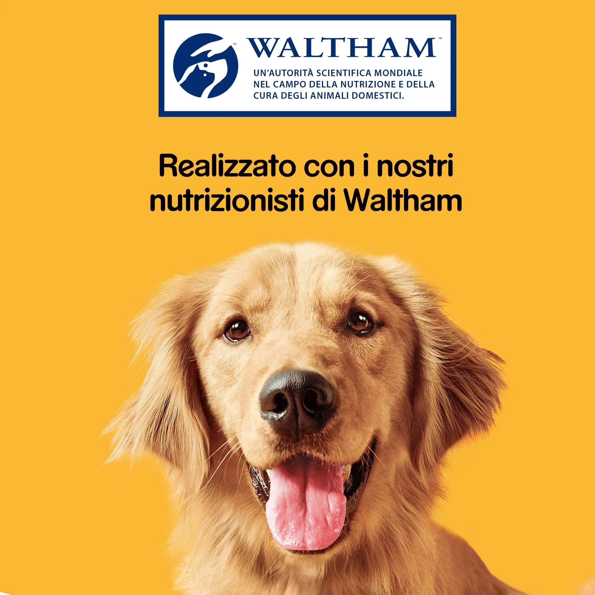 Pedigree Dentastix Snack per la Igiene Orale (Cane Piccolo 5-10 kg) 110 g 7 Pezzi - 10 Confezioni da 7 Pezzi (70 Pezzi totali) - immagine 4