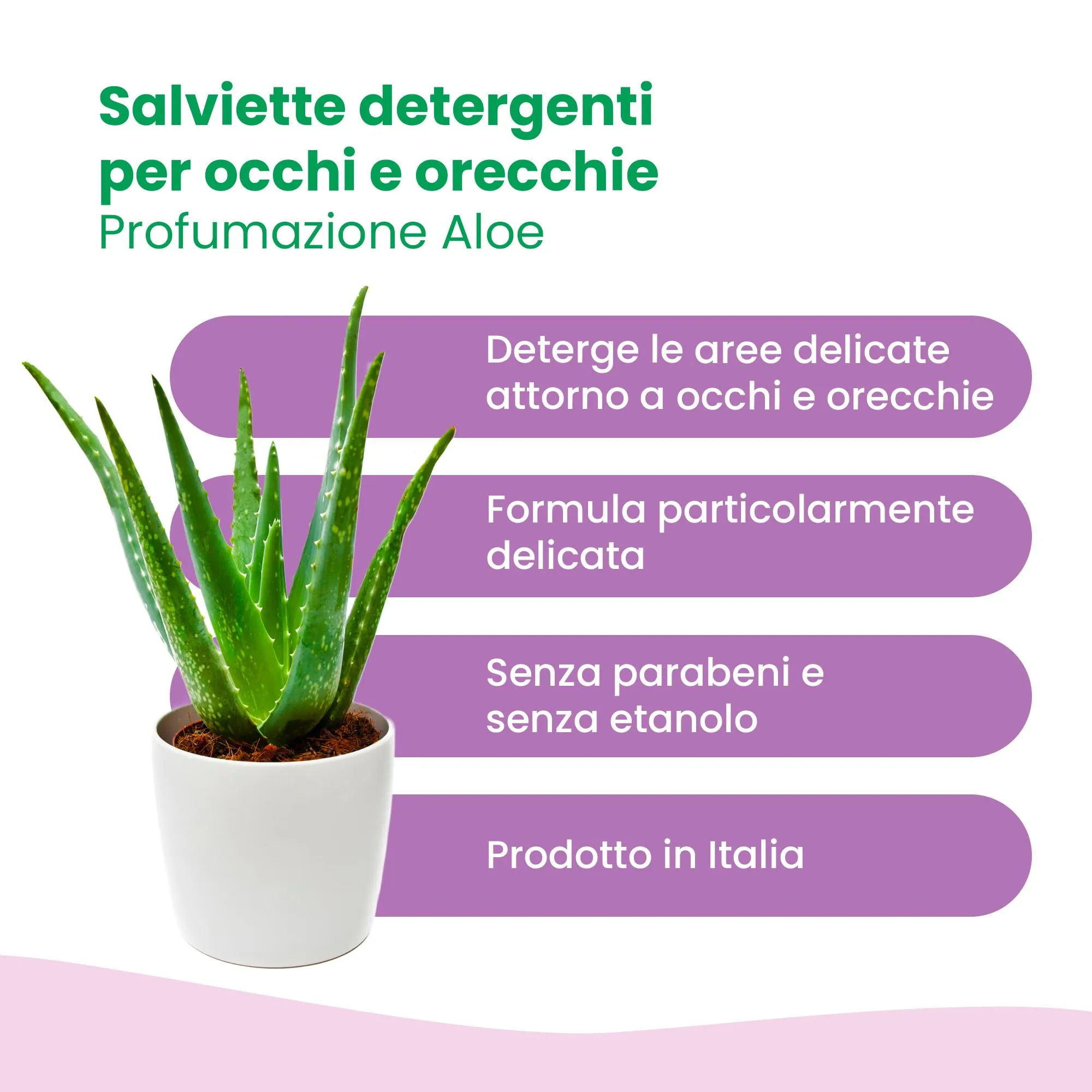CAMON - Salviette Detergenti per Occhi e Orecchie, Box da 16 Salviette - immagine 2