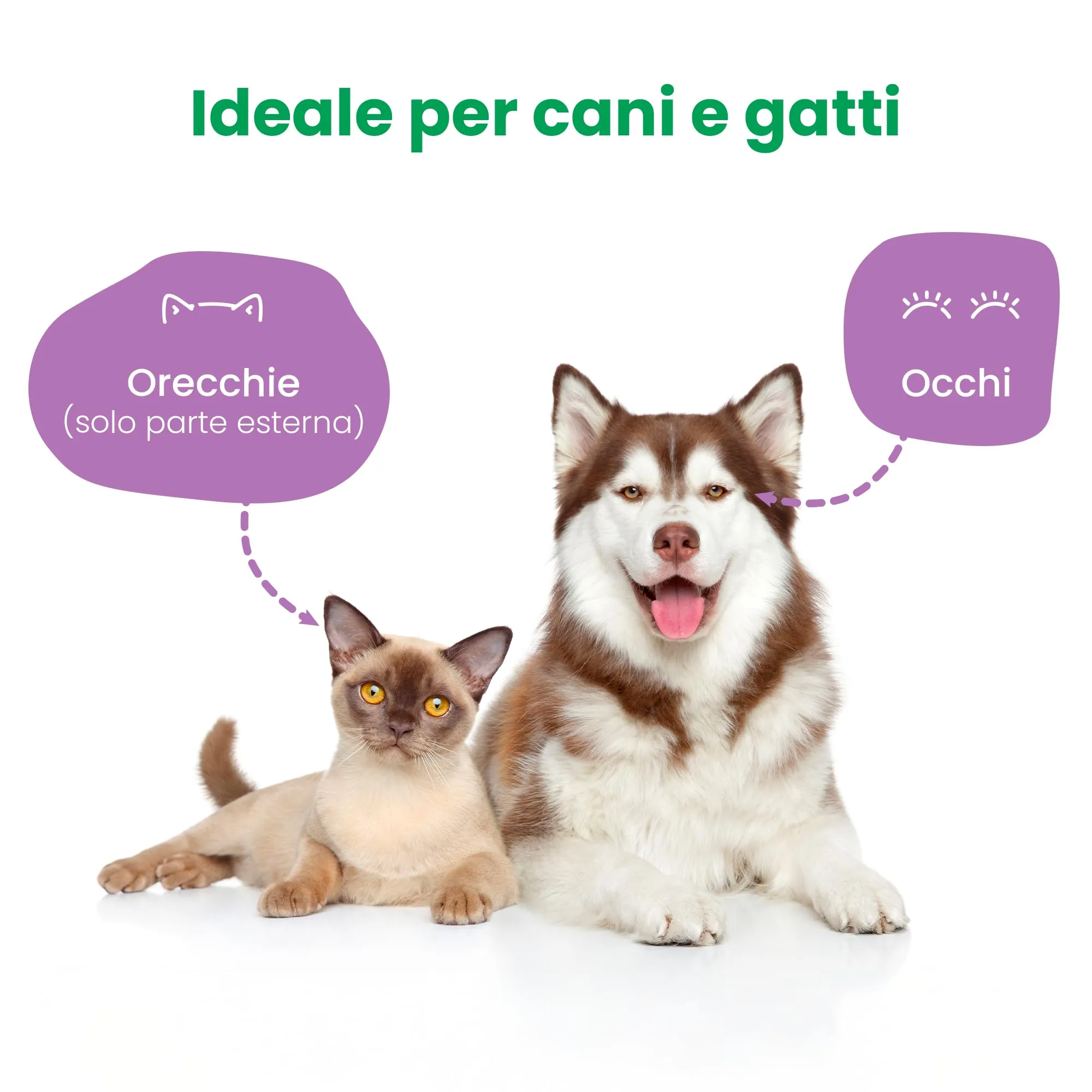 CAMON - Salviette Detergenti per Occhi e Orecchie, Box da 16 Salviette - immagine 3