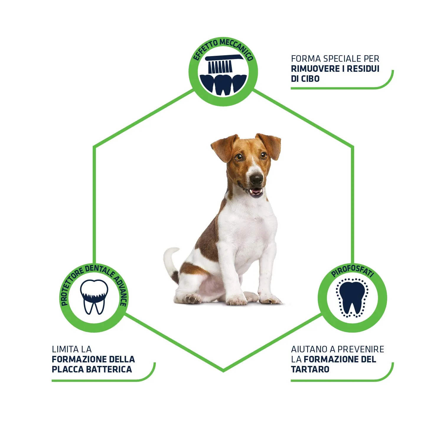 ADVANCE Snacks - Dental Care Stick per Cani di Razza Piccola - 90gr - immagine 3