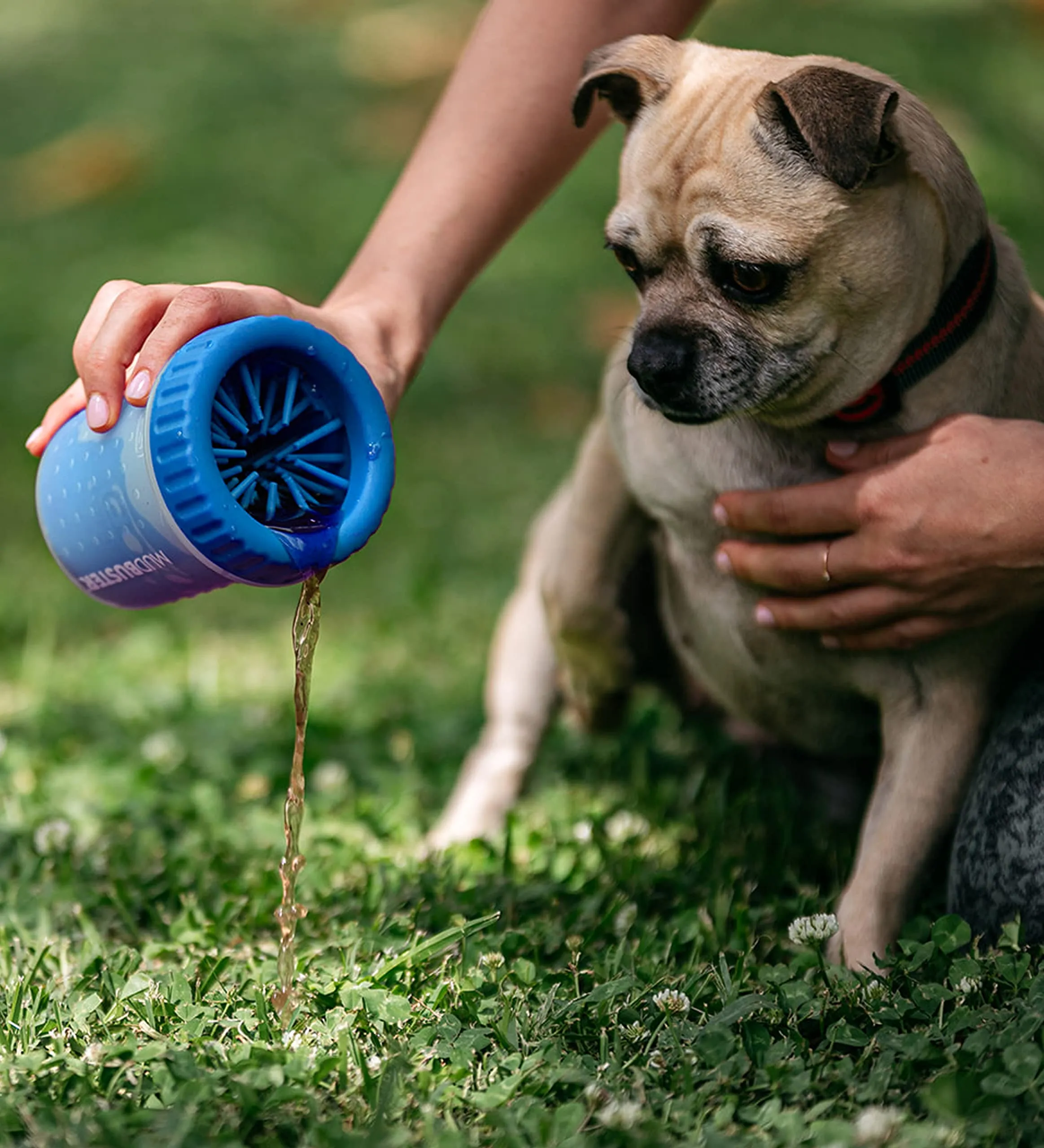 Dexas Pulitore per zampe di cane di piccola taglia, Pro Blue, sistema per pulire le zampe dei cani, accessori per animali domestici di alta qualità - immagine 5