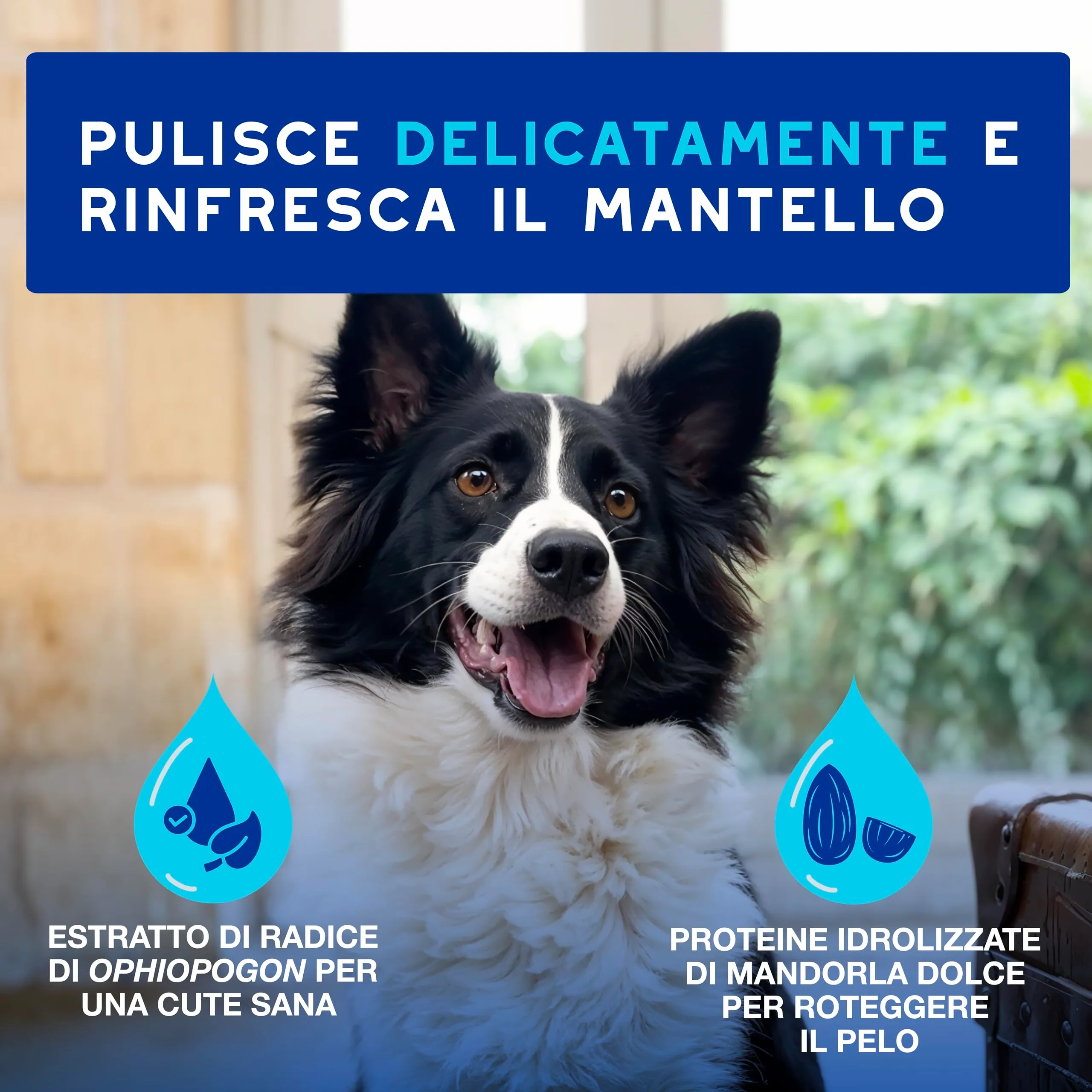 DOUXO Skin & Coat SPA Mousse Detergente Senza Risciacquo per Cani, 150ml - immagine 2