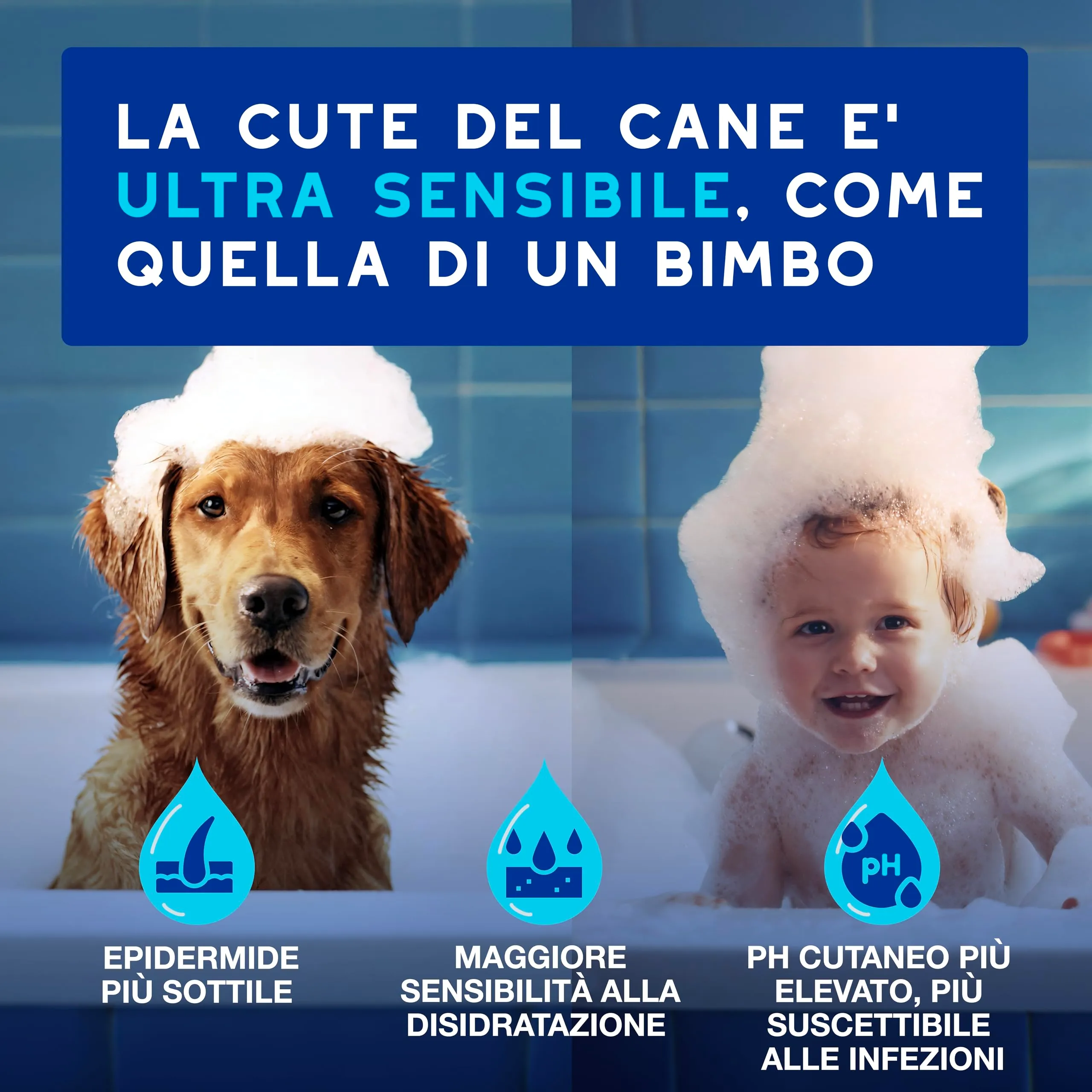 DOUXO Skin & Coat SPA Mousse Detergente Senza Risciacquo per Cani, 150ml - immagine 3