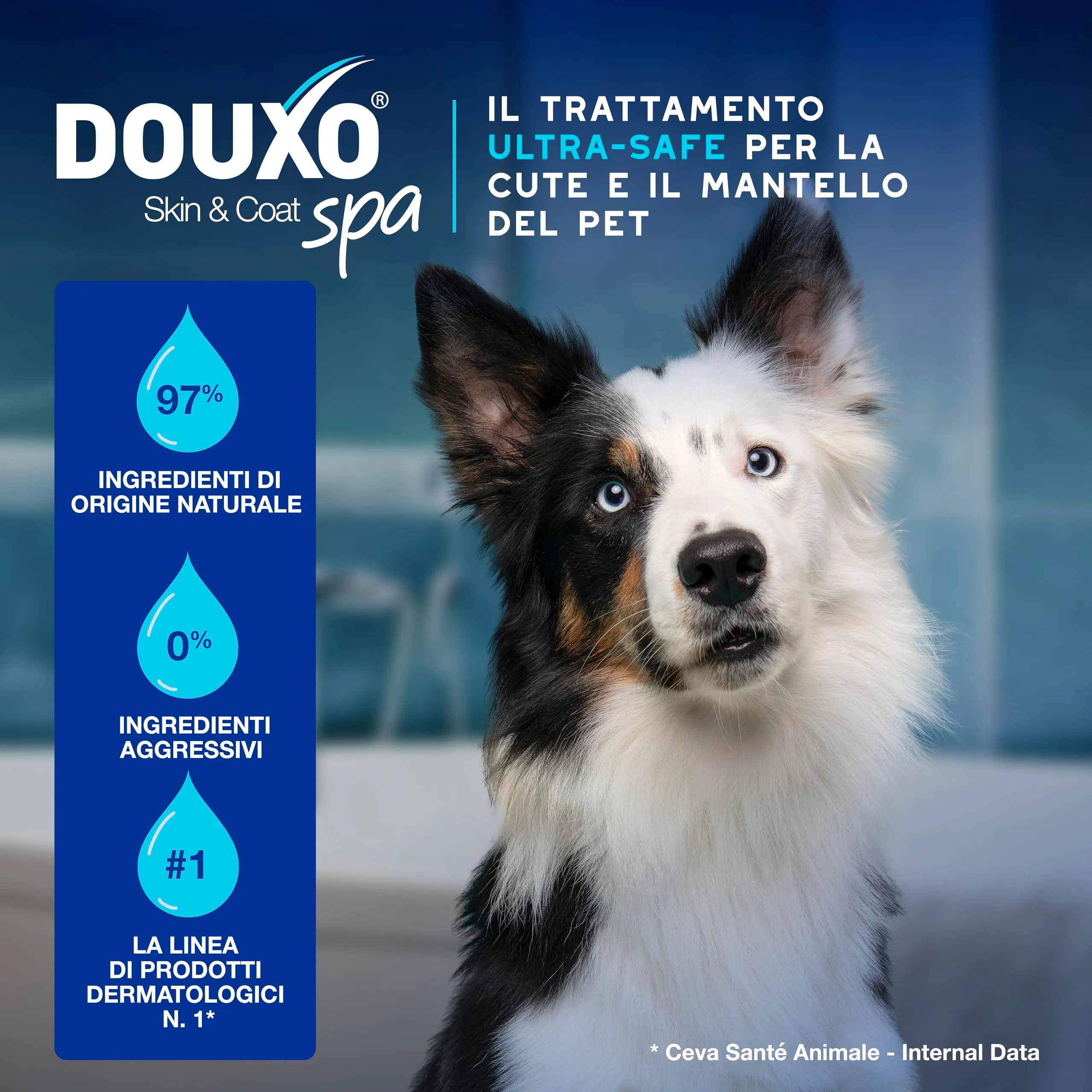 DOUXO Skin & Coat SPA Mousse Detergente Senza Risciacquo per Cani, 150ml - immagine 4