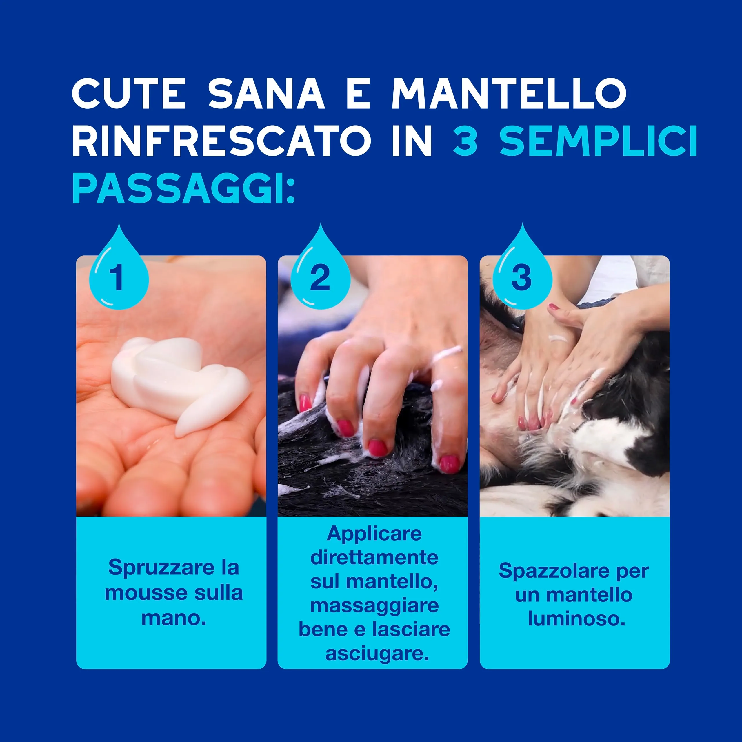 DOUXO Skin & Coat SPA Mousse Detergente Senza Risciacquo per Cani, 150ml - immagine 6
