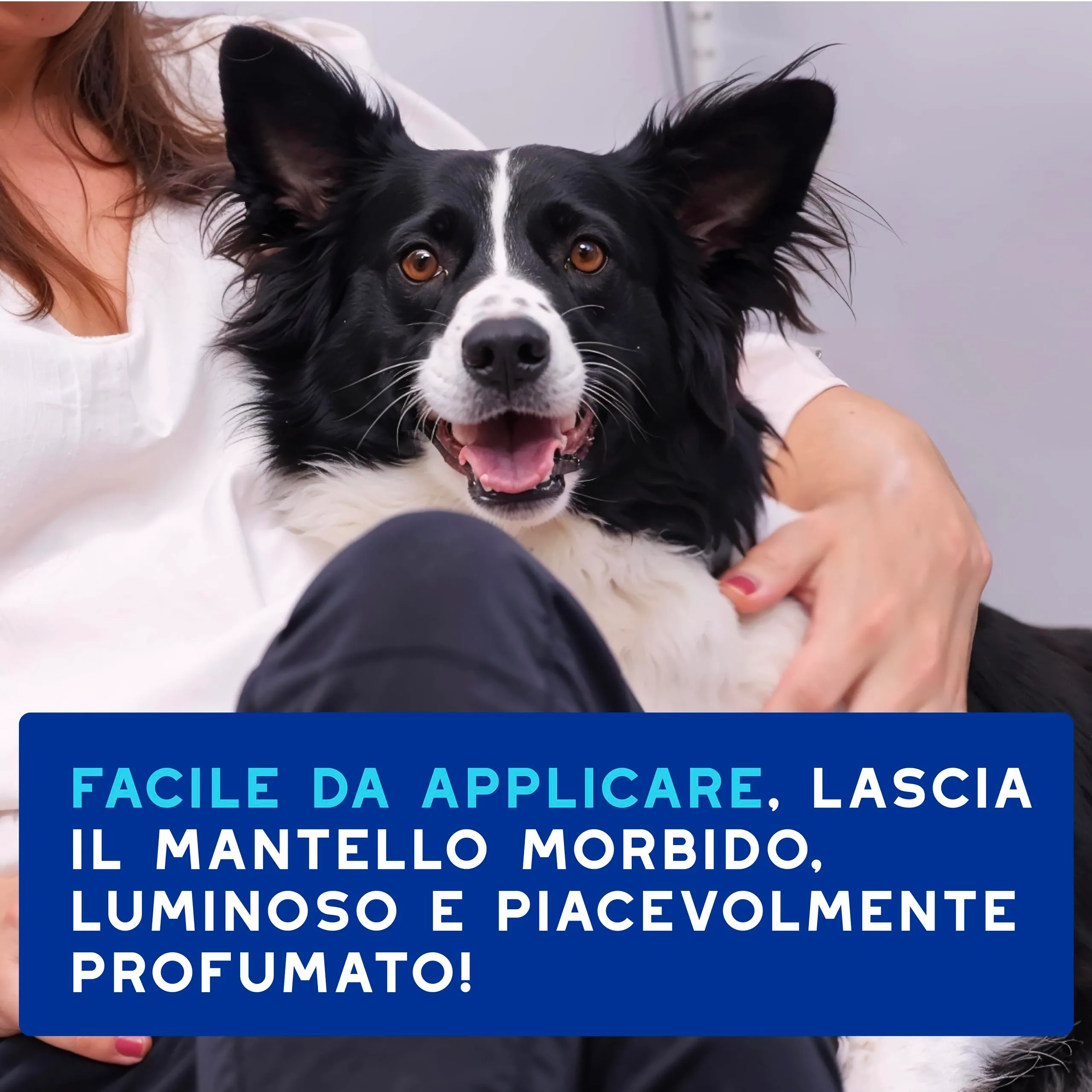 DOUXO Skin & Coat SPA Mousse Detergente Senza Risciacquo per Cani, 150ml - immagine 7