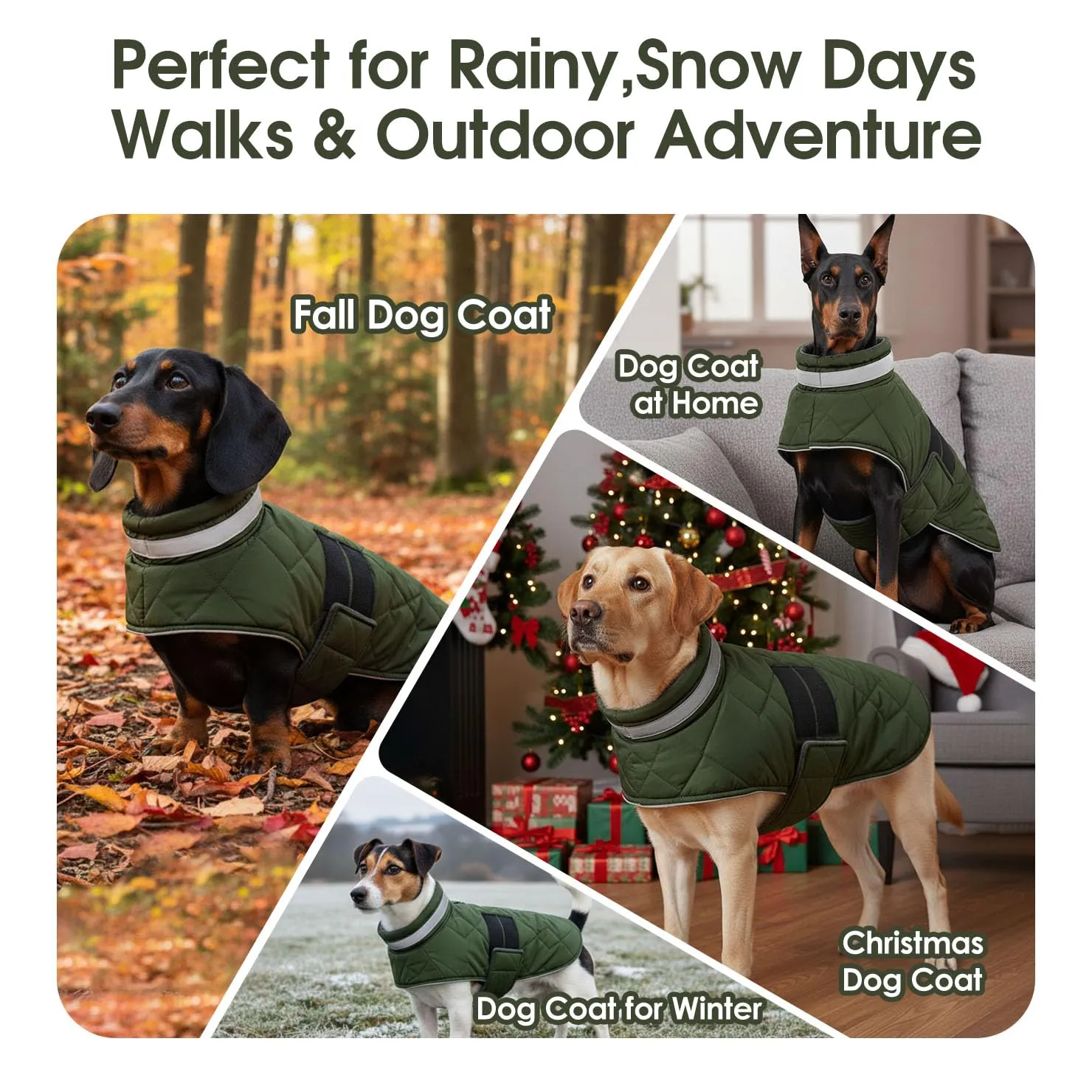 ASENKU Cappotto Invernale Impermeabile XS per Cani Piccoli, Giacca Calda con Strisce Riflettenti, Regolabile, Apertura per Collare,Ideale per Chihuahua, Volpino, Yorkshire per Passeggiate Pioggia Neve - immagine 7