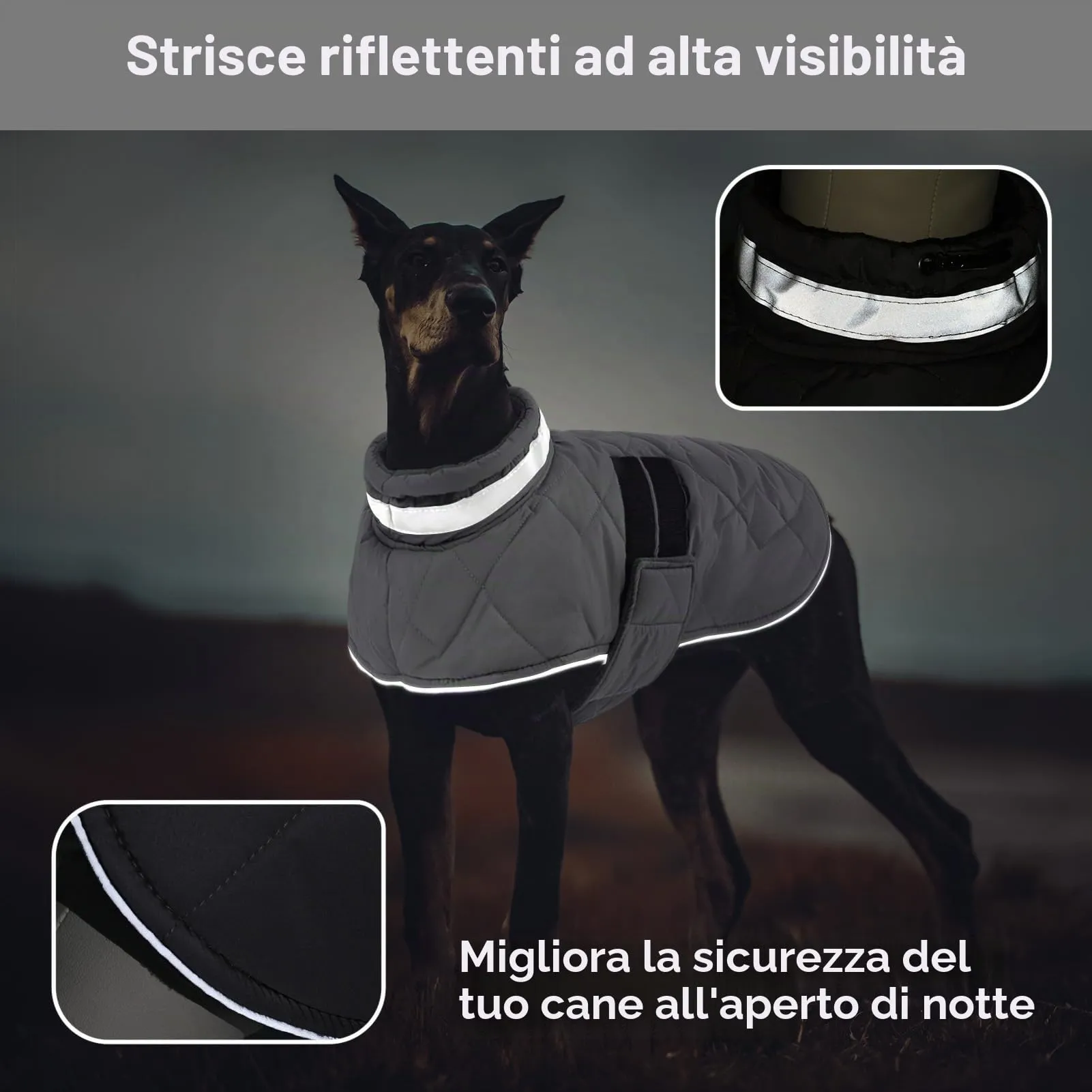 ASENKU Cappotto Impermeabile L per Cane, Giacca Invernale Calda con Riflettenti, Regolabile, Apertura Collare, Gilet Invernale per Per Bulldog Francese, Cocker, Border Collie per Giorni Piovosi - immagine 4