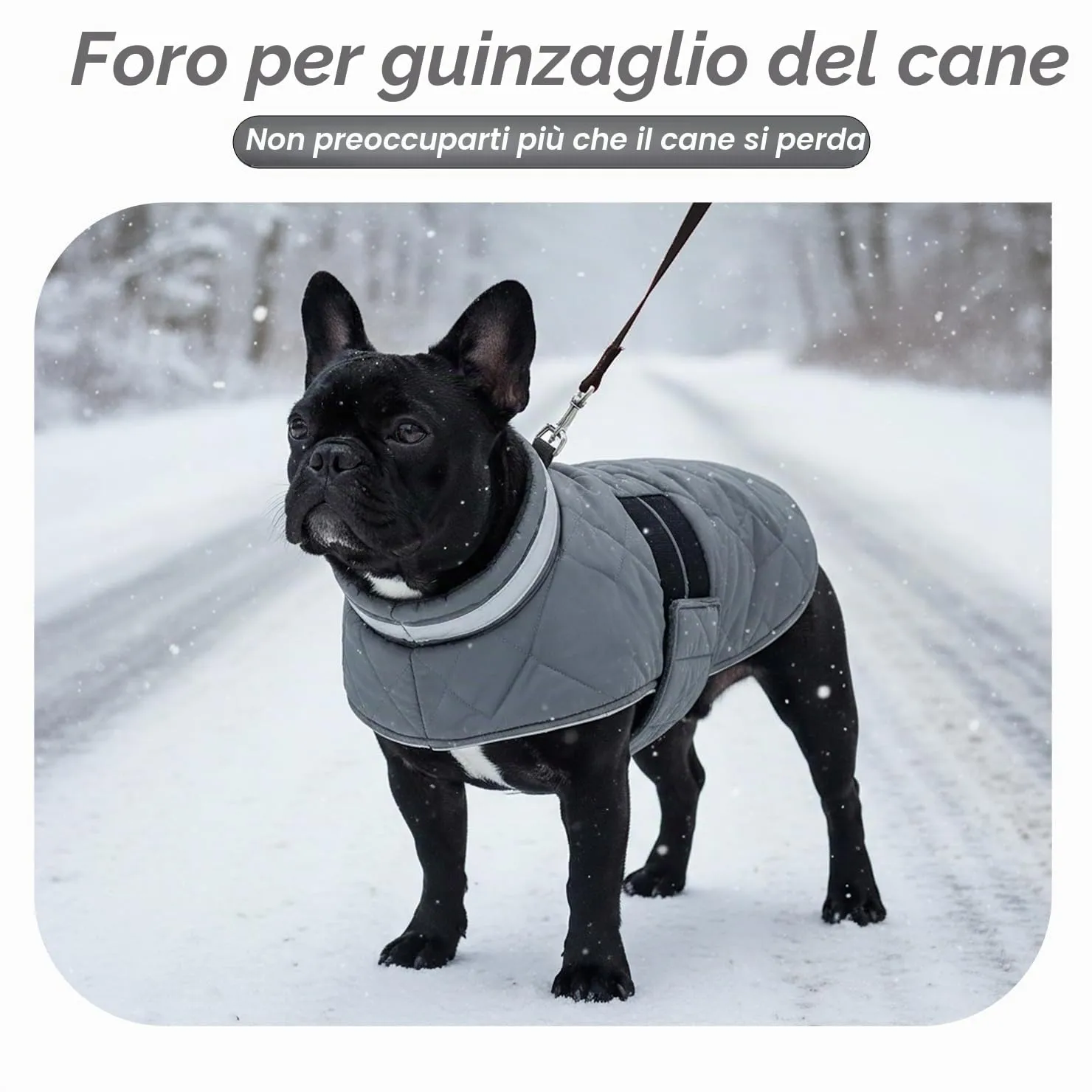 ASENKU Cappotto Impermeabile L per Cane, Giacca Invernale Calda con Riflettenti, Regolabile, Apertura Collare, Gilet Invernale per Per Bulldog Francese, Cocker, Border Collie per Giorni Piovosi - immagine 6