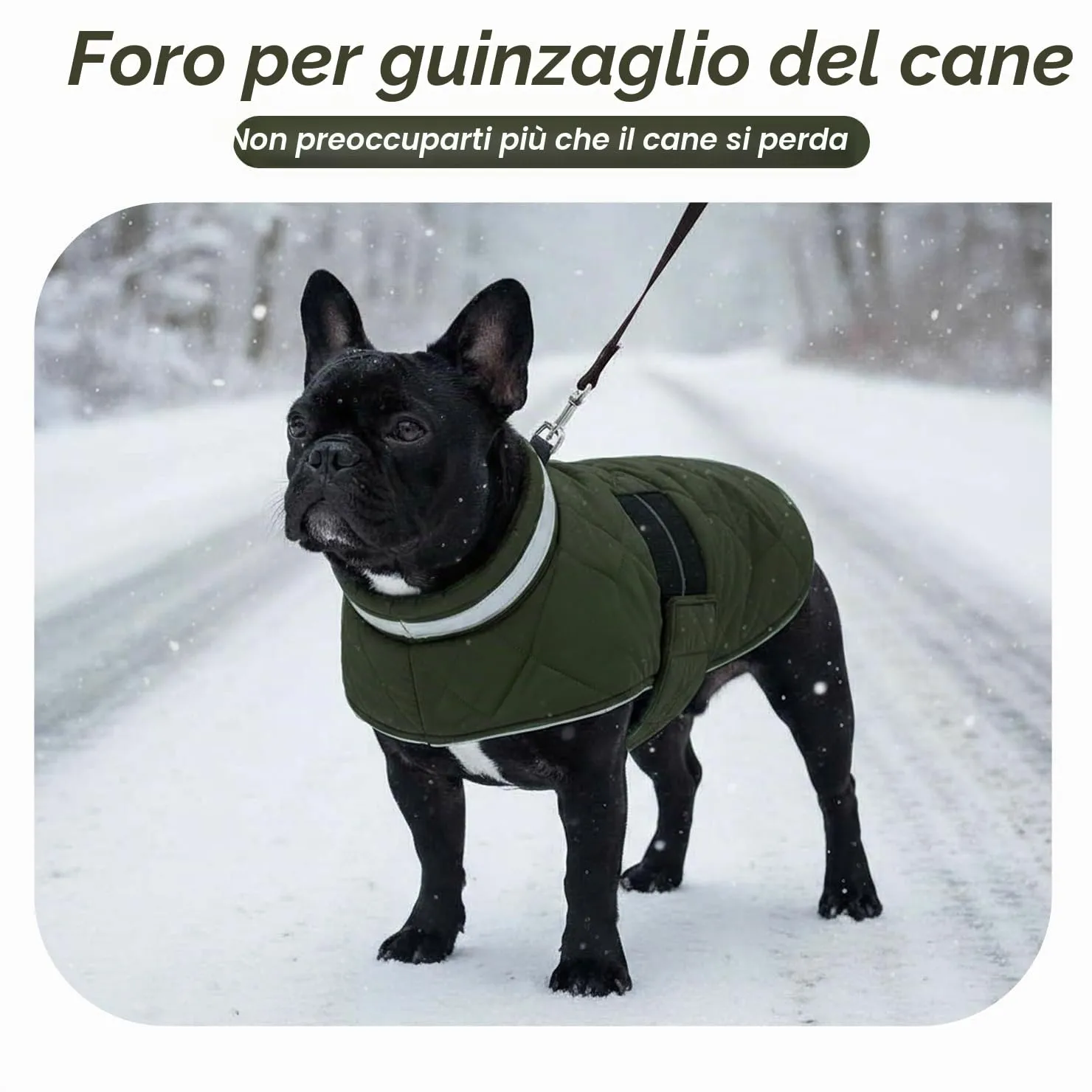 ASENKU Cappotto Invernale Cane XL per Cani Grandi, Impermeabile Antivento, Giacca in Pile Calda con Riflettenti, Regolabile, Apertura Collare – Per Border Collie, Pastore Australiano, Boxer - immagine 6