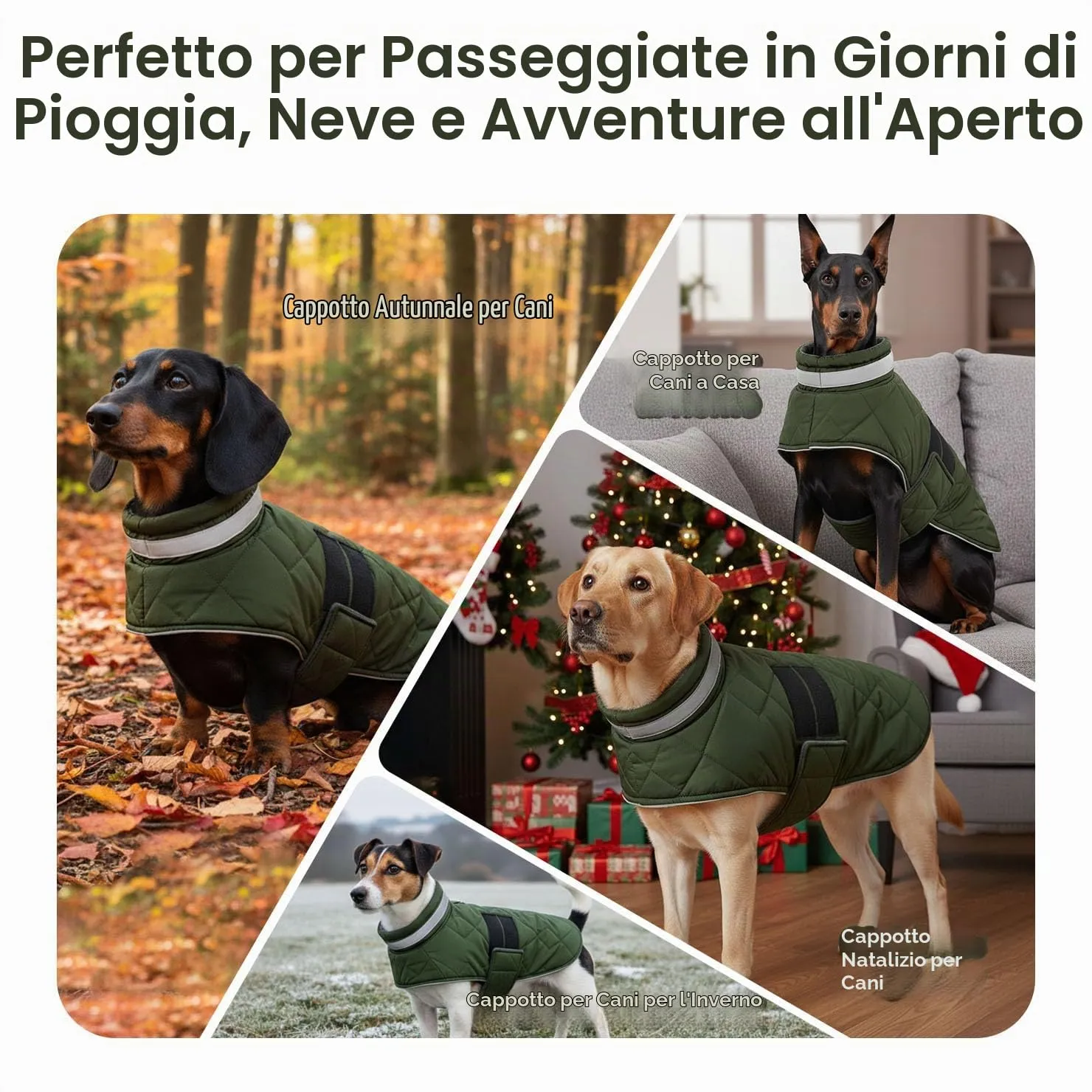ASENKU Cappotto Impermeabile L per Cane, Giacca Invernale Calda con Riflettenti, Regolabile, Apertura Collare, Gilet Invernale per Per Bulldog Francese, Cocker, Border Collie per Giorni Piovosi - immagine 7