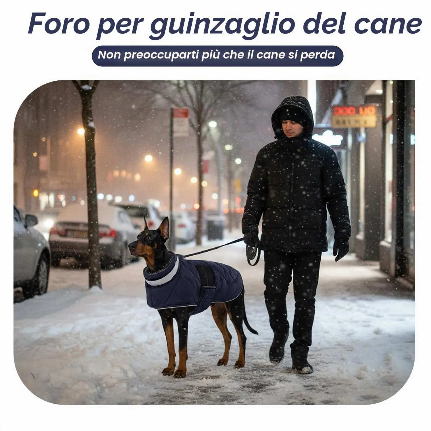 ASENKU Cappotto Invernale Cane M per Taglia Media, Giacca Impermeabile Antivento Riflettente, Fodera in Pile Calda, Velcro Regolabile, Apertura Collare – Per Beagle, Bassotto, Cavalier King - immagine 6