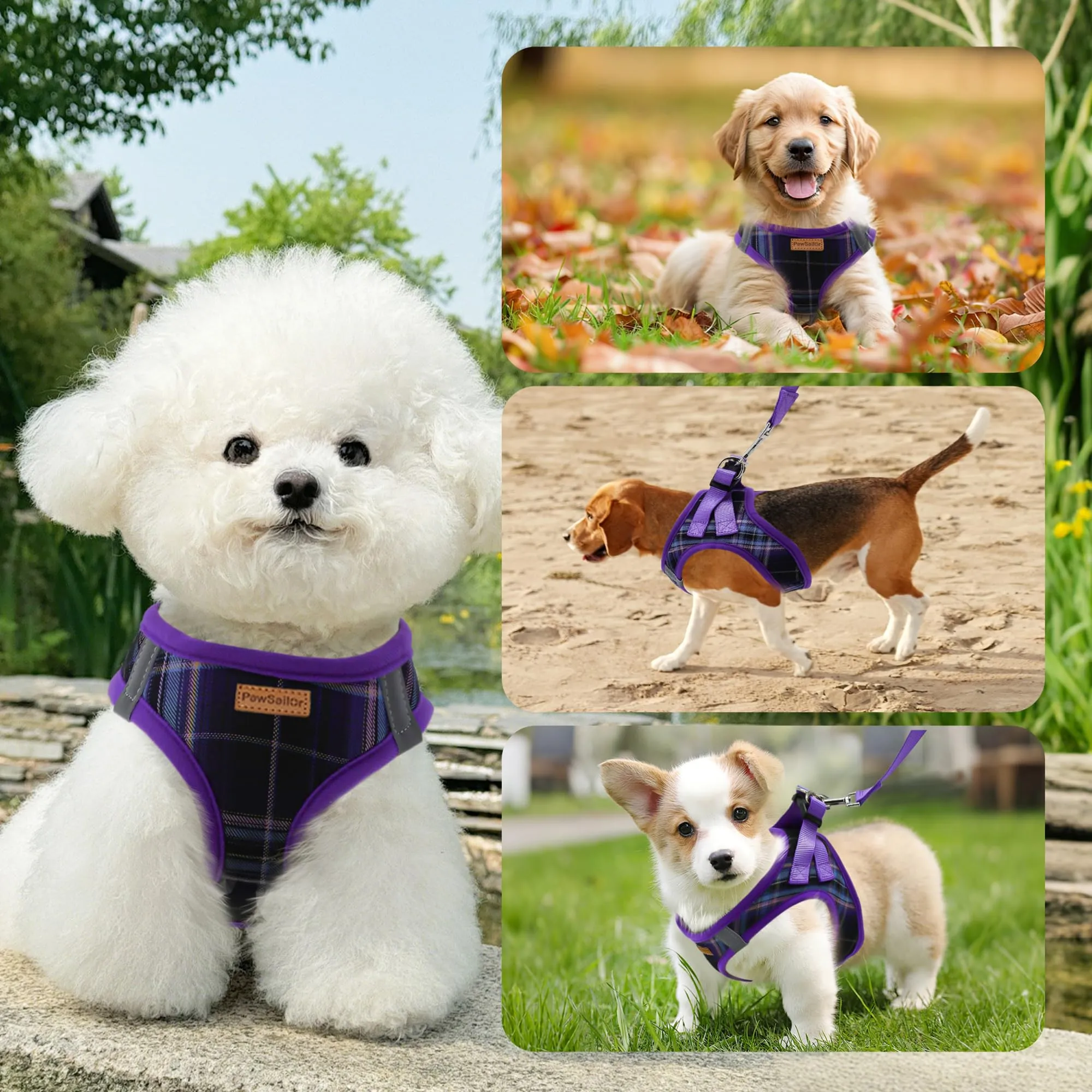 Pawsailor Pettorina Cane Taglia Piccola con Guinzaglio Anti-tiro Viola S - immagine 6