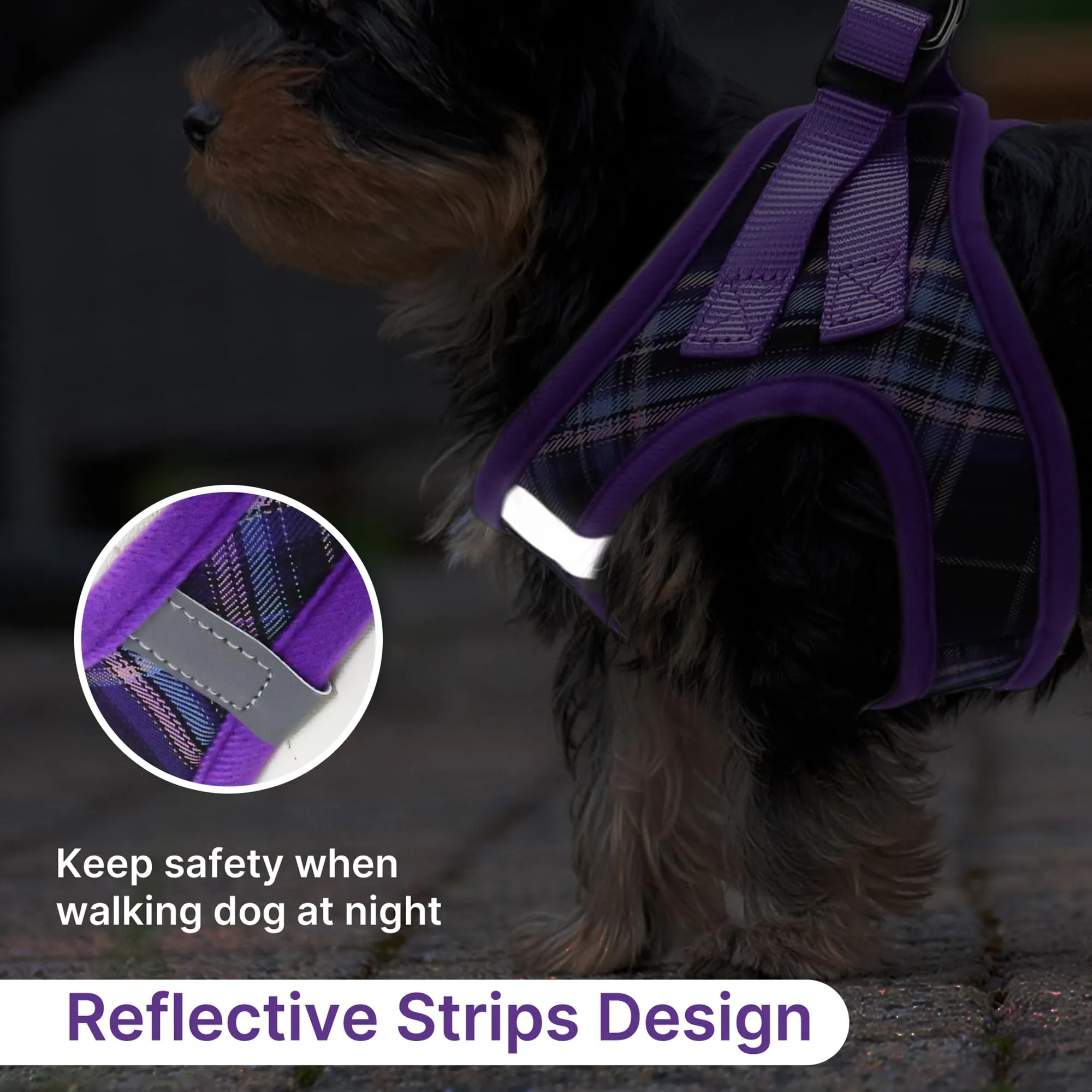 Pawsailor Pettorina Cane Taglia Piccola con Guinzaglio Anti-tiro Viola M - immagine 5