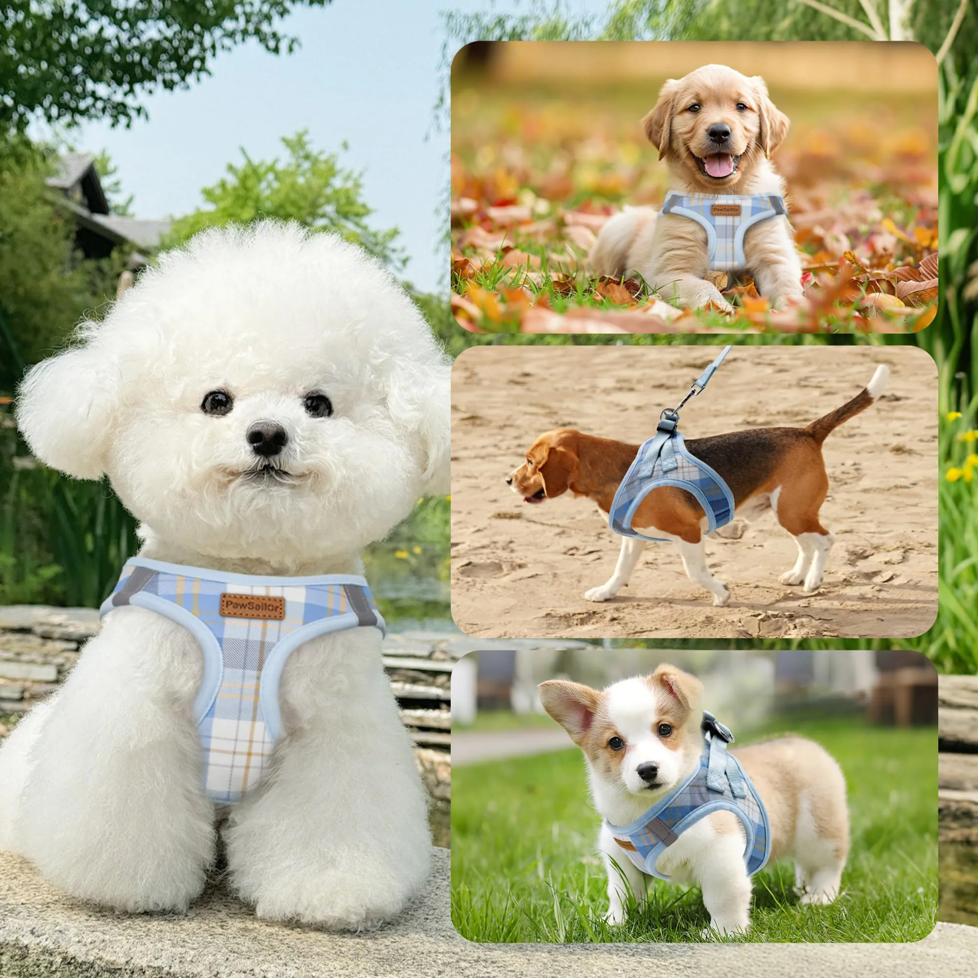 Pawsailor Pettorina Cane Taglia Piccola con Guinzaglio Anti-tiro Blu S - immagine 6