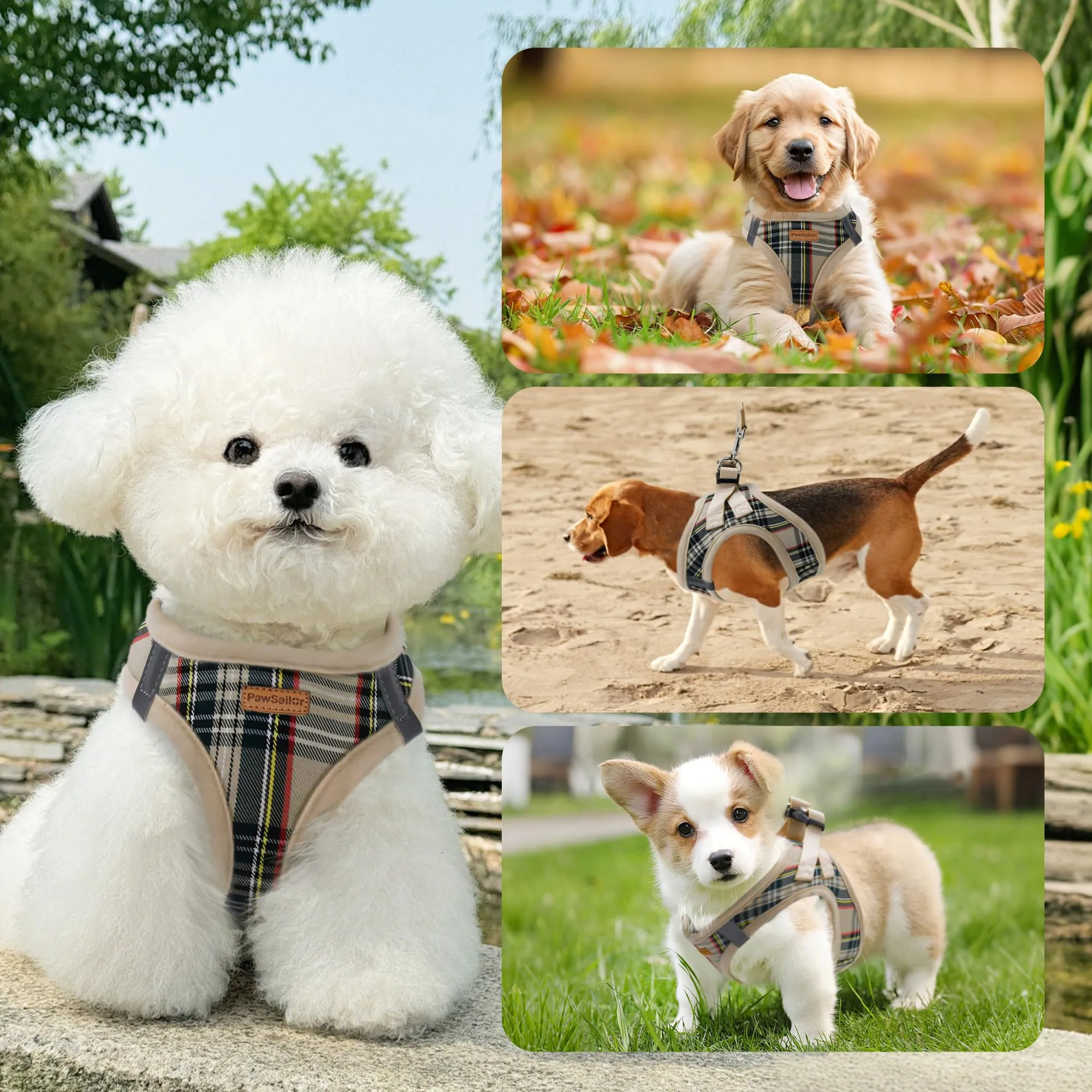 Pawsailor Pettorina Cane Taglia Piccola con Guinzaglio Anti-tiro Beige S - immagine 6