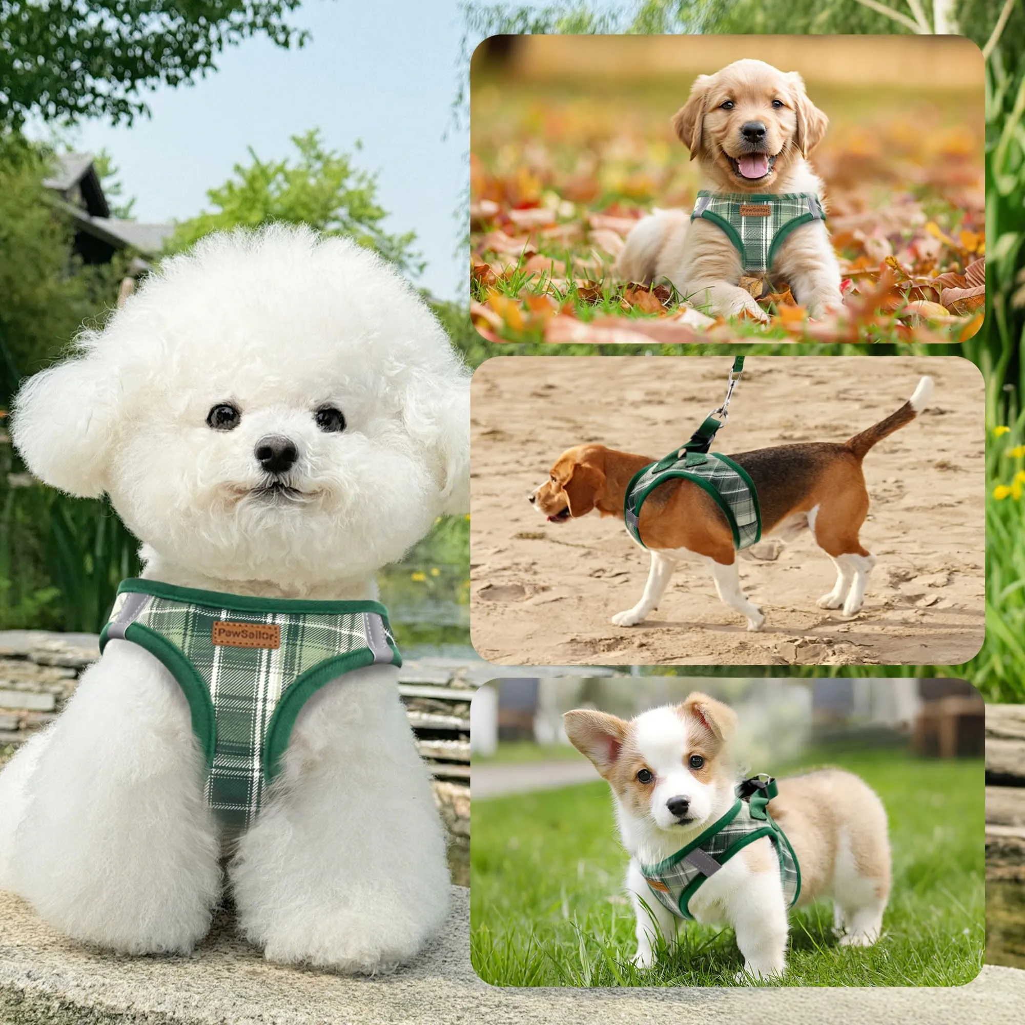 Pawsailor Pettorina Cane Taglia Piccola con Guinzaglio Anti-tiro Verde S - immagine 6