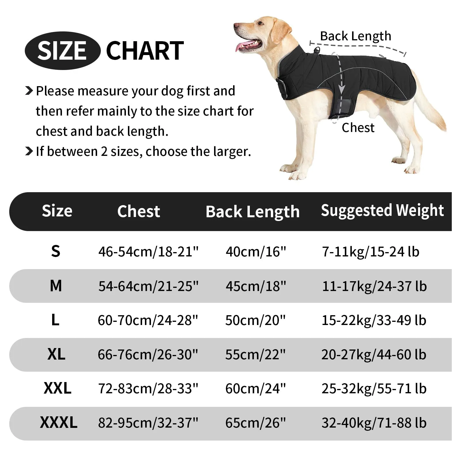 HEYWEAN Cappotto per cani Giacca impermeabile cane Cappotto invernale caldo con anello D Cappotti in pile cane Riflettente Impermeabile caldo Giacca invernale per cani di taglia piccola media e grande - immagine 3