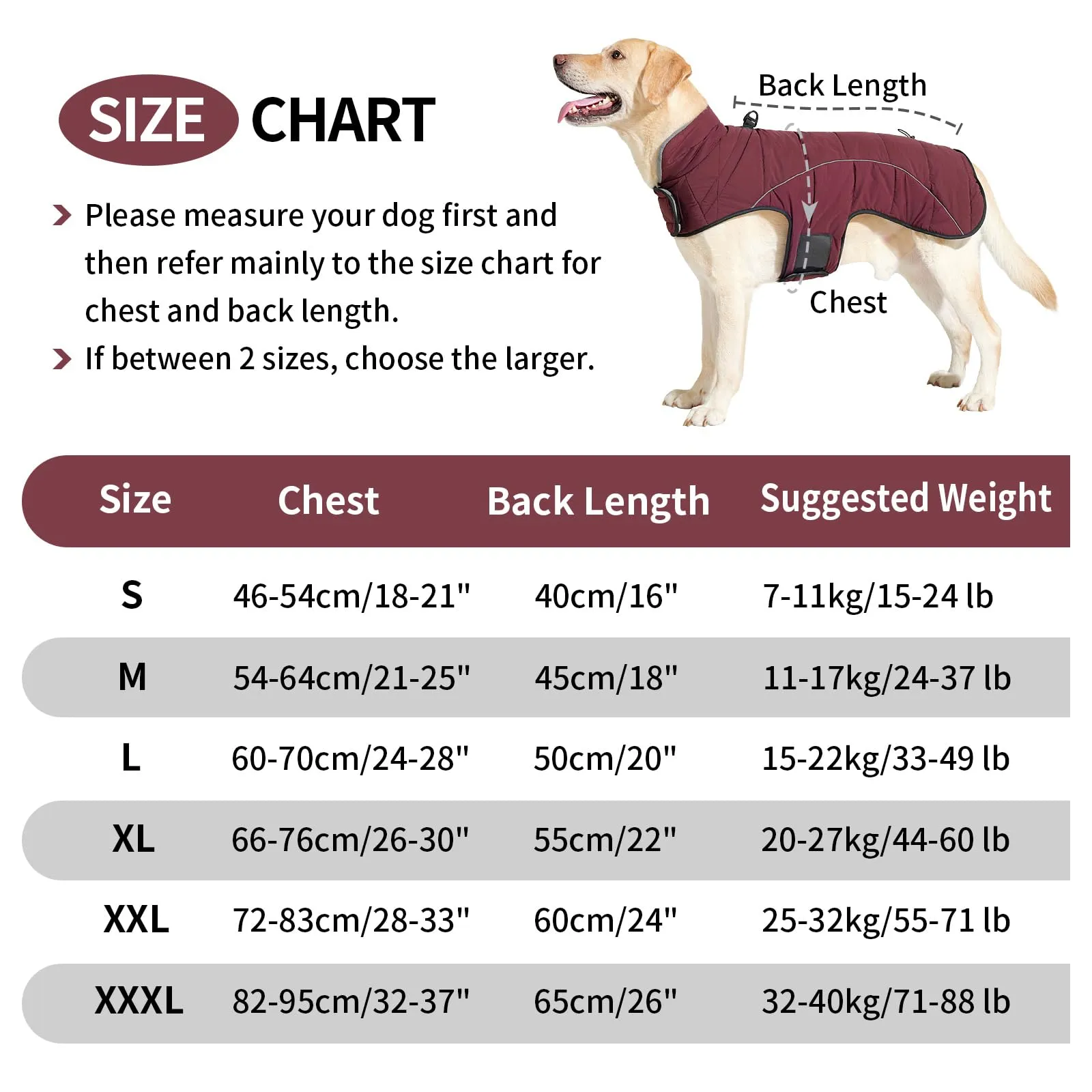 HEYWEAN Cappotto per cani Giacca impermeabile cane Cappotto invernale caldo con anello D Cappotti in pile cane Riflettente Impermeabile caldo Giacca invernale per cani di taglia piccola media e grande - immagine 3