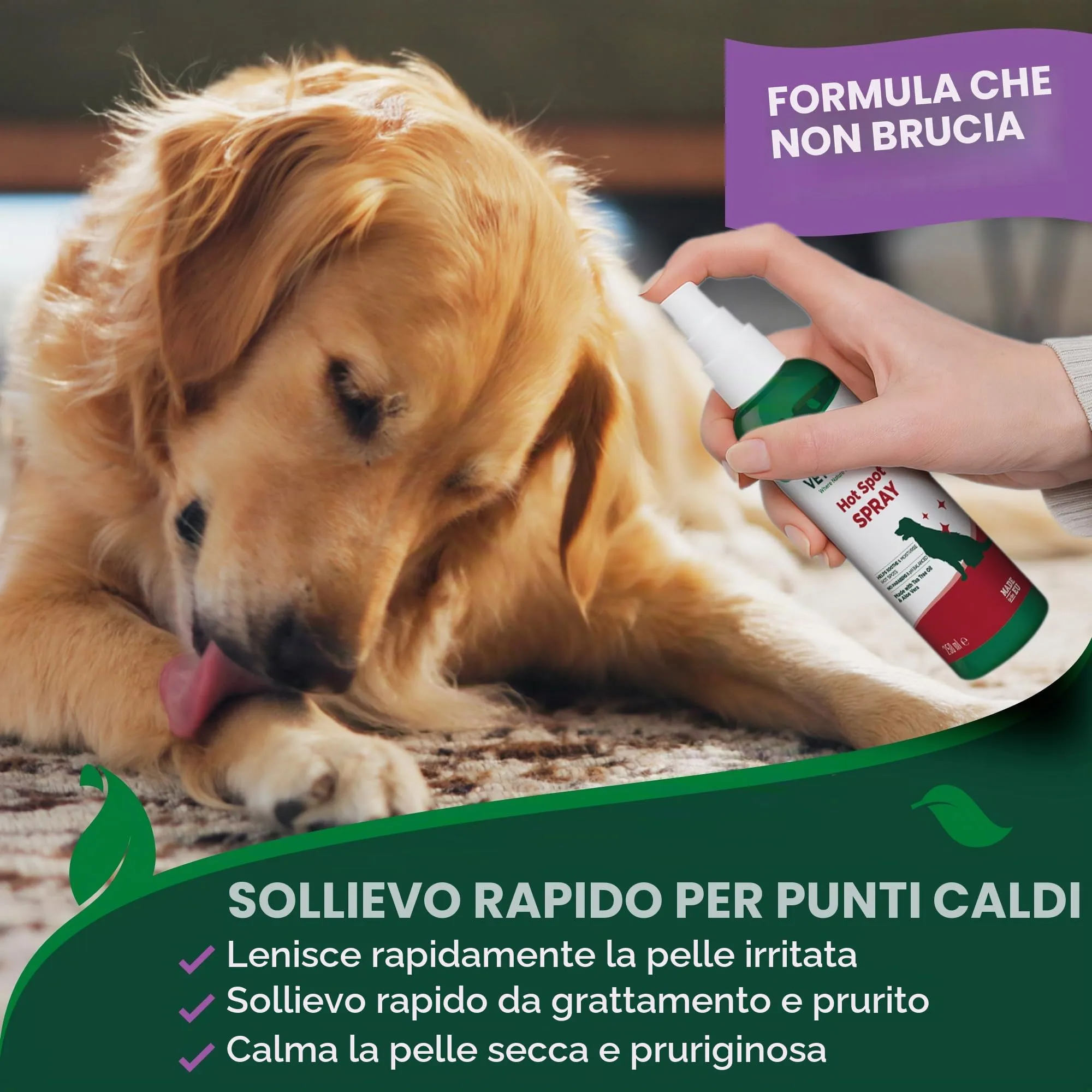 Vet's Best Spray Anti-Prurito Hot Spot per Cani 250ml - immagine 5