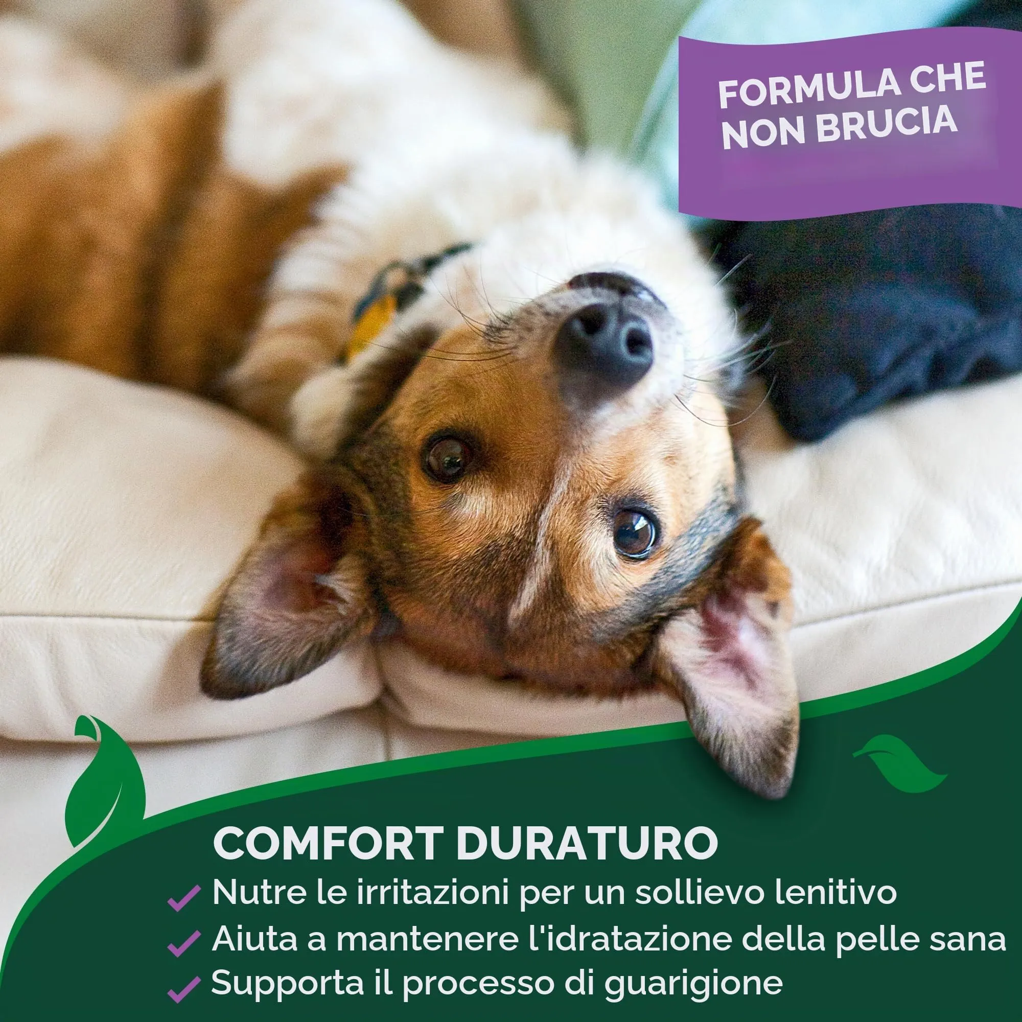 Vet's Best Spray Anti-Prurito Hot Spot per Cani 250ml - immagine 7