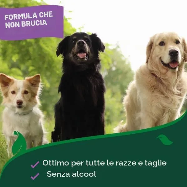 Vet's Best Spray Anti-Prurito Hot Spot per Cani 250ml - immagine 10