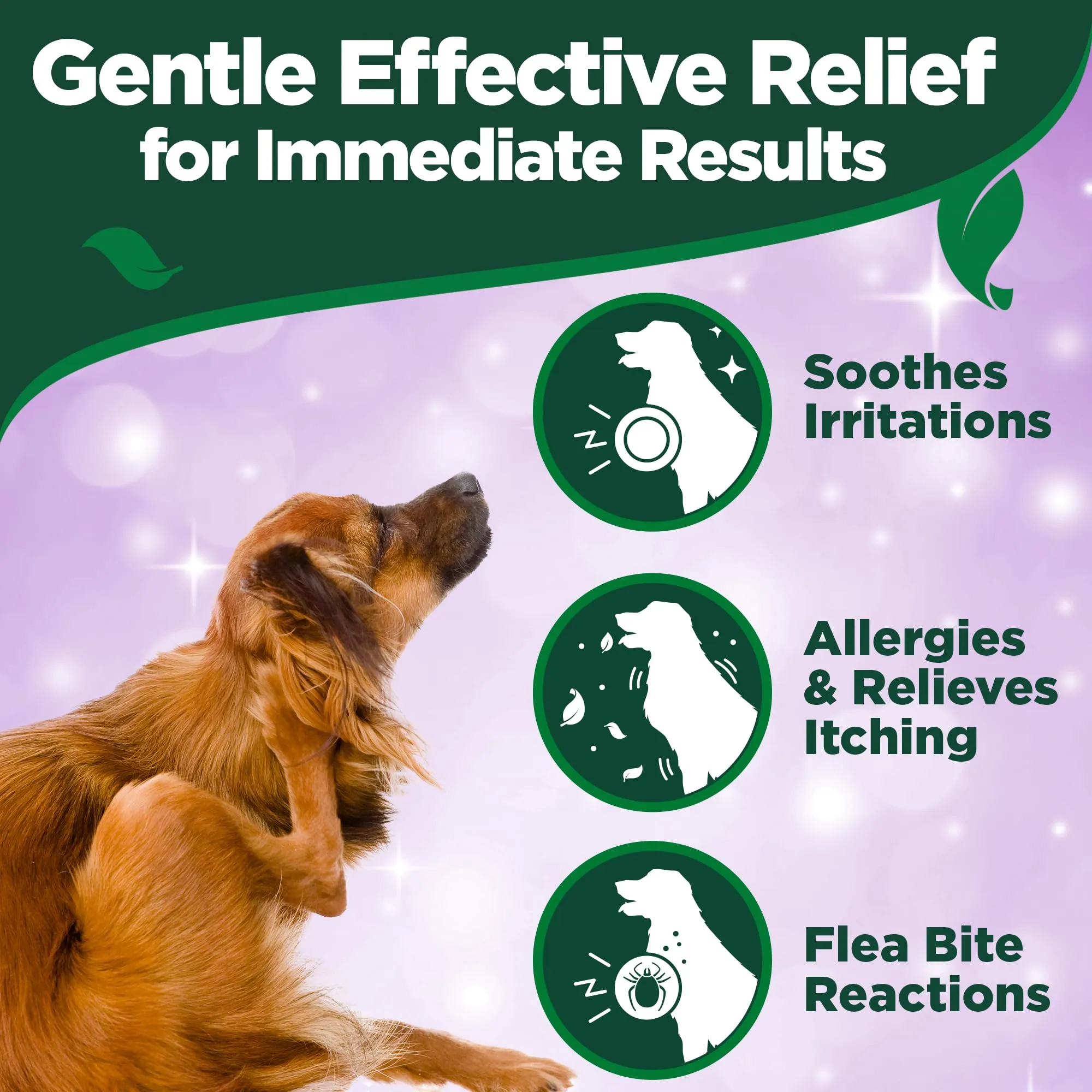 Vet's Best Spray Anti-Prurito per Cani 250ml - immagine 7
