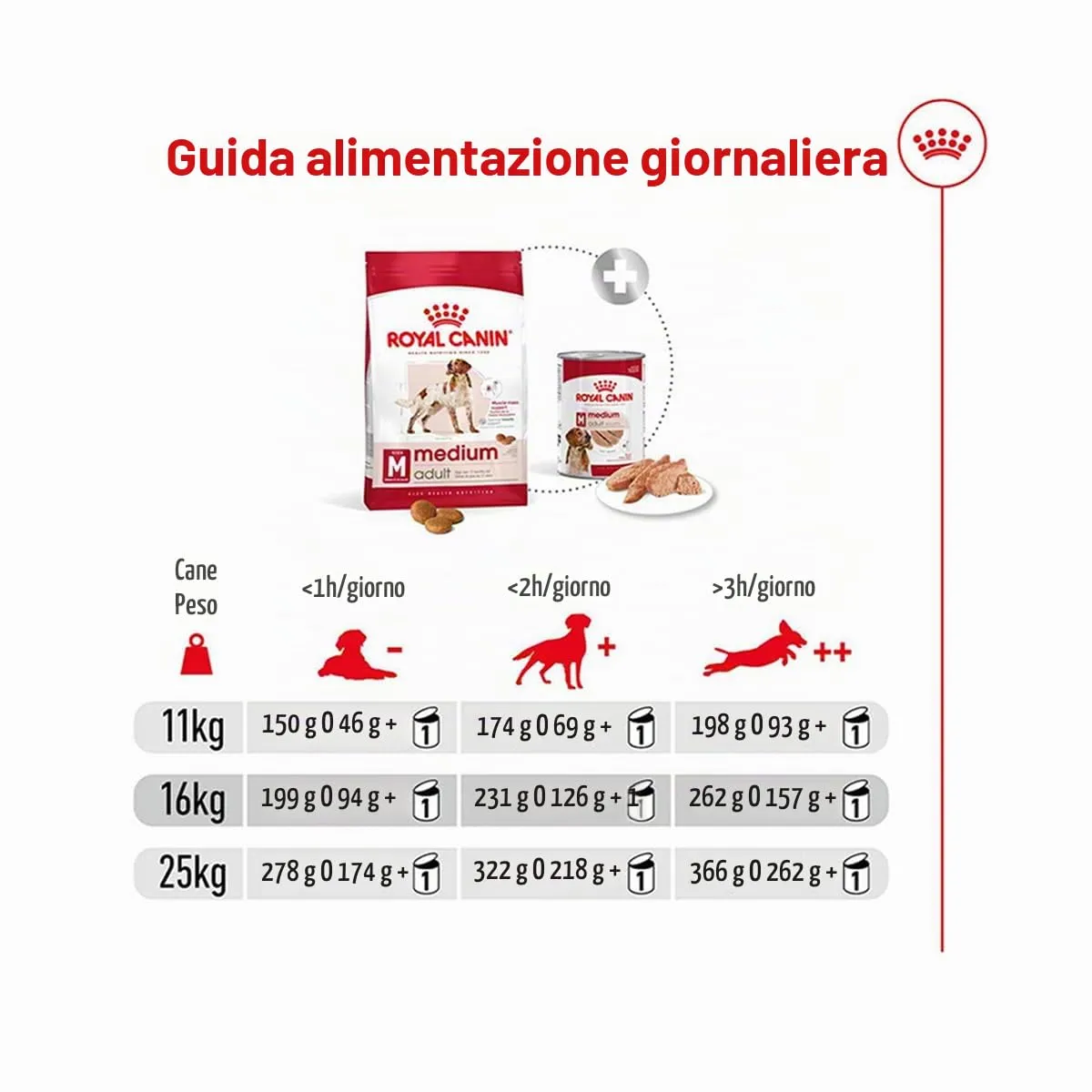 Royal Canin C-08405 S.N. Adulto medio - 10 kg - immagine 4