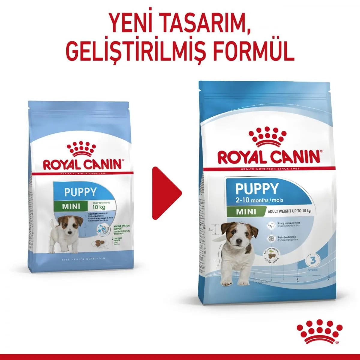 Royal Canin - Royal Canin Mini Puppy Contenuto: 2 kg - immagine 6