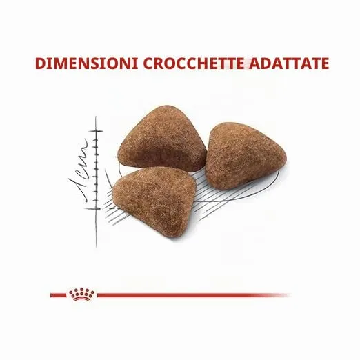 Royal Canin Rc Indoor, 400g - immagine 3