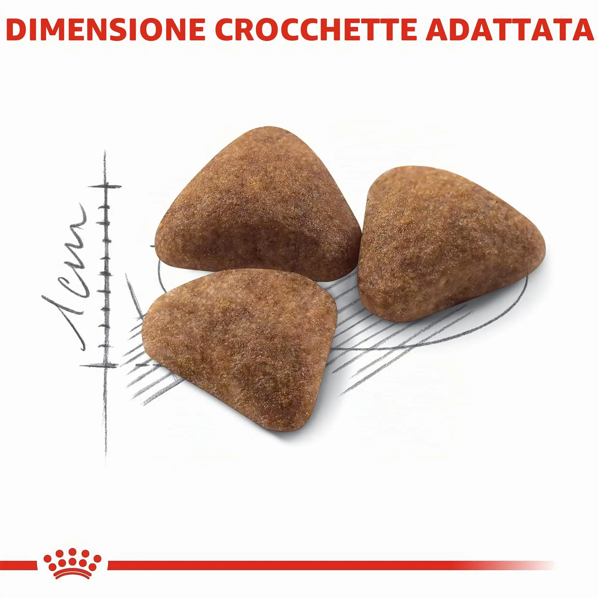 Royal Canin Rc Indoor, 400g - immagine 8