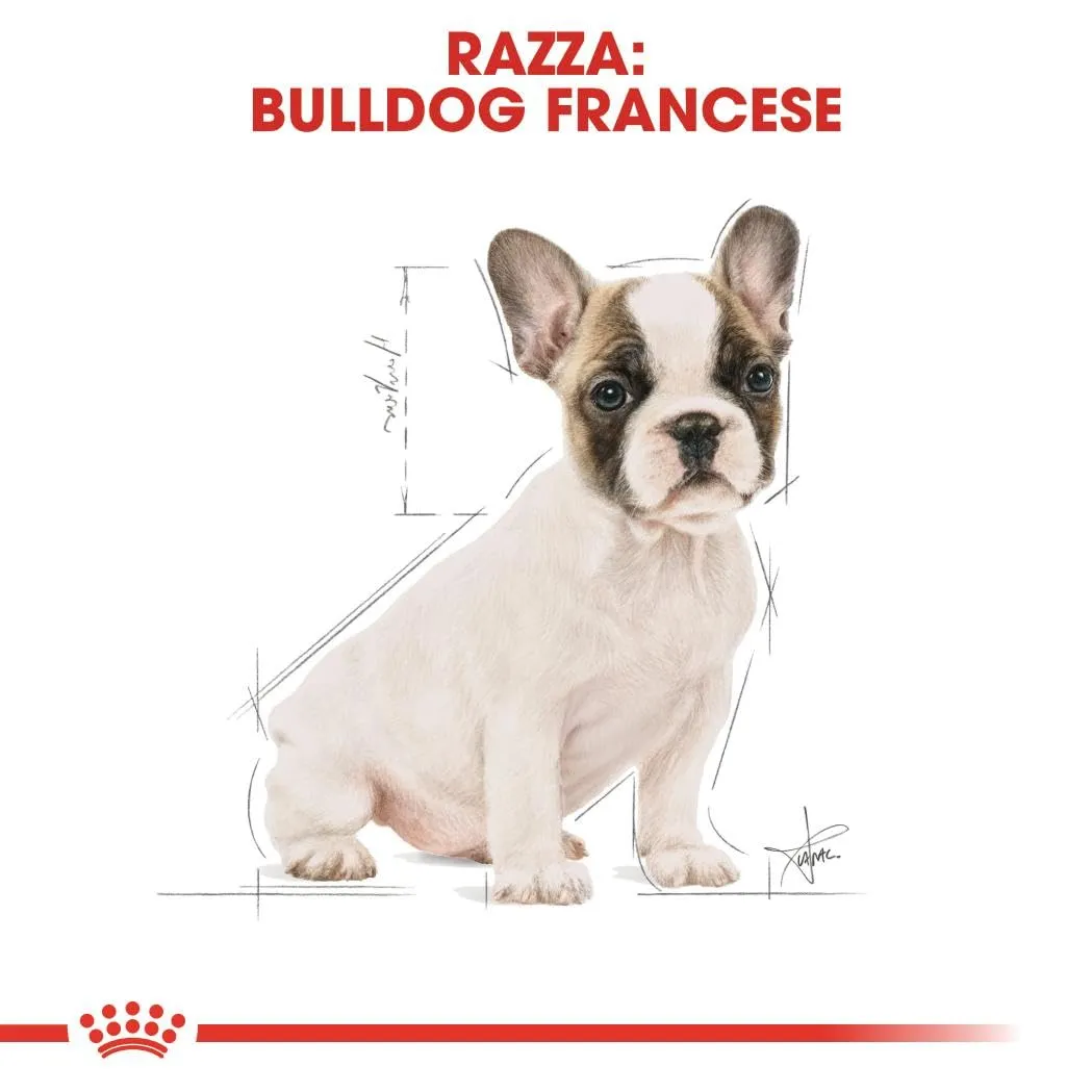 ROYAL CANIN French Bulldog Puppy - Crocchette per cani cuccioli - 3kg - immagine 3