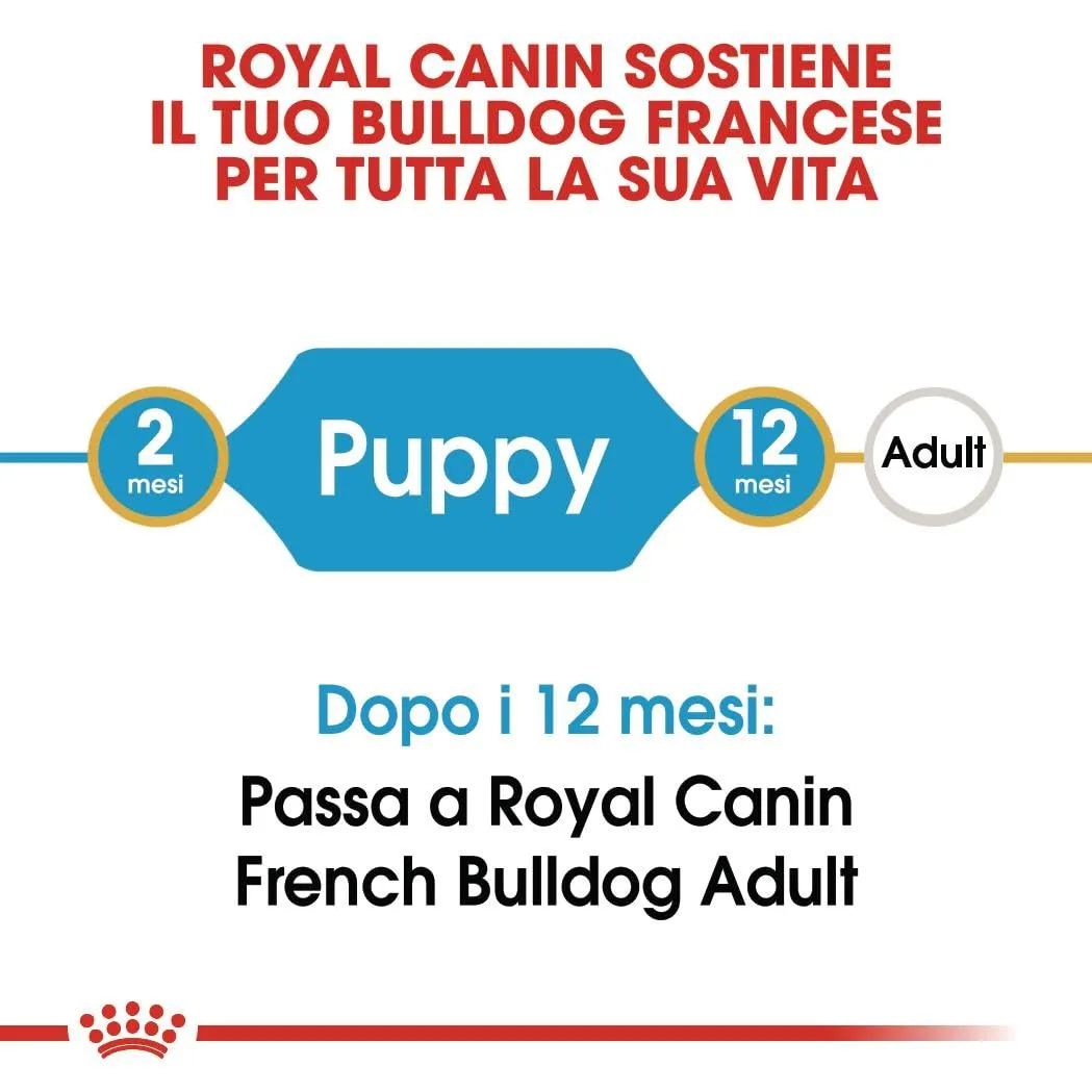 ROYAL CANIN French Bulldog Puppy - Crocchette per cani cuccioli - 3kg - immagine 6