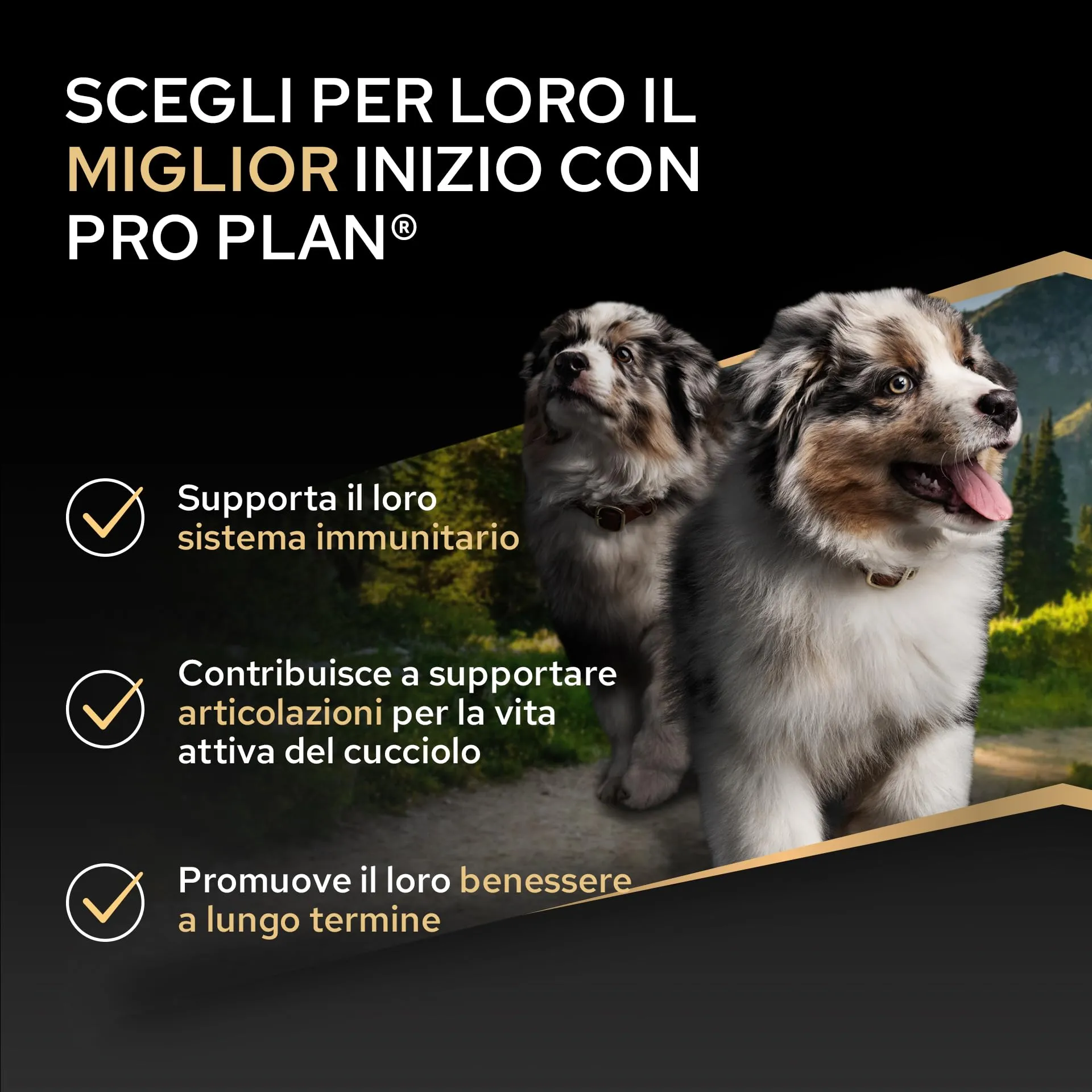 PURINA PRO PLAN Healthy Start Medium Crocchette per Cani Cuccioli con Pollo Sacco da 12kg - immagine 2