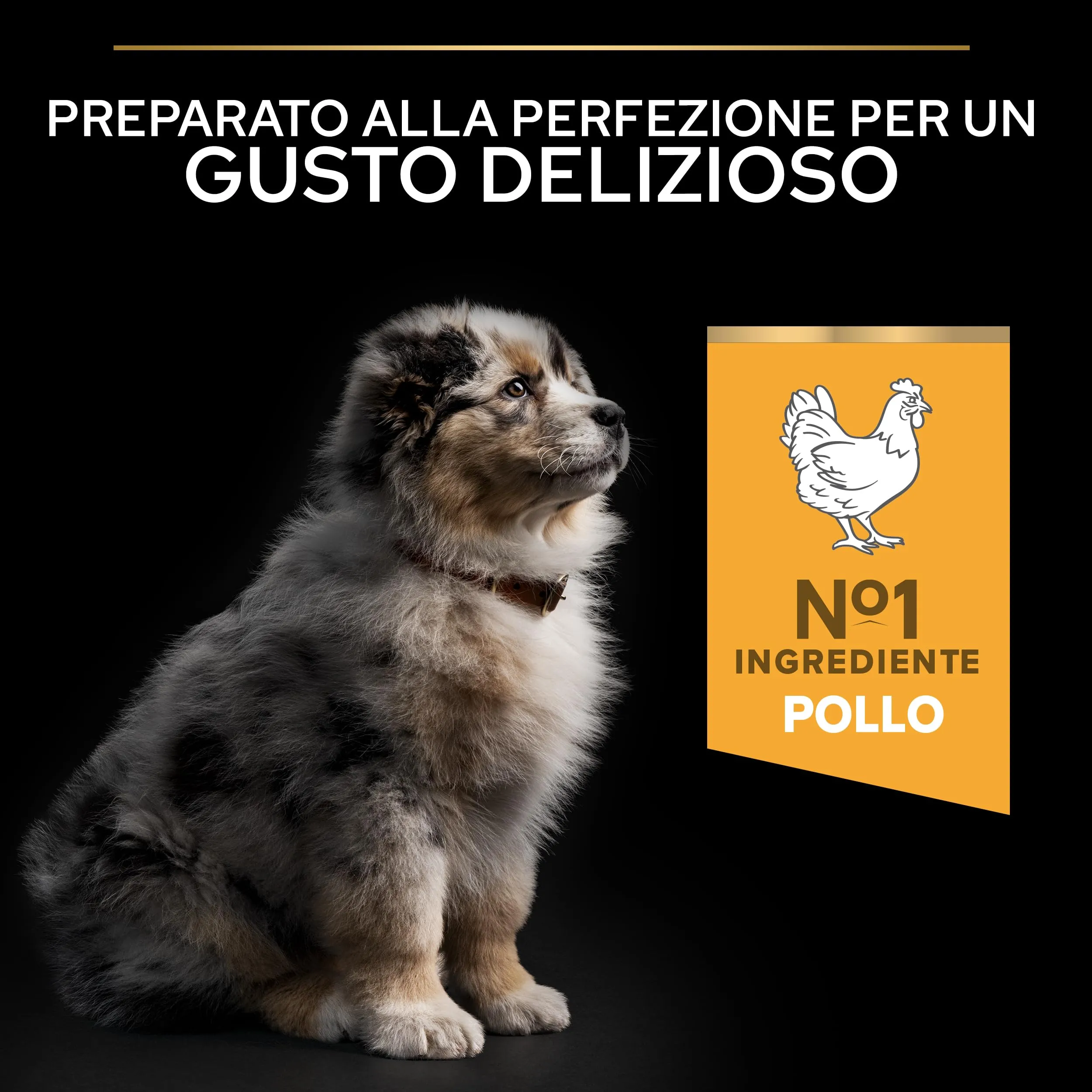 PURINA PRO PLAN Healthy Start Medium Crocchette per Cani Cuccioli con Pollo Sacco da 12kg - immagine 5