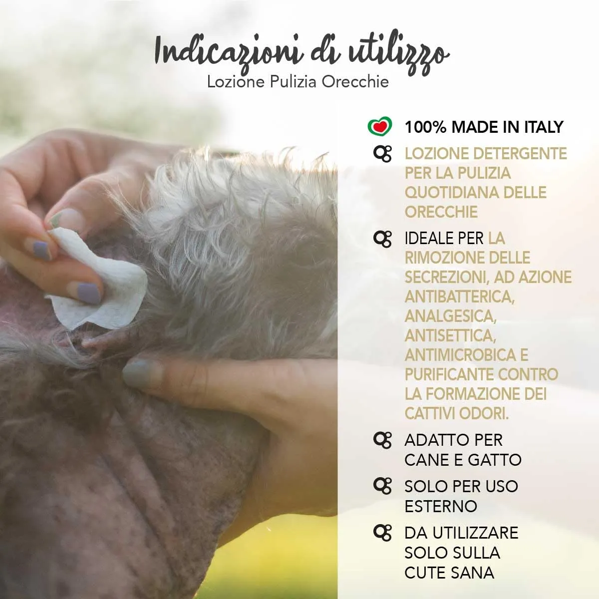 YUUP! - Lozione per la pulizia quotidiana delle orecchie di cane e gatto con Propoli, Salice Bianco e olio di Tea Tree, 150 ml - immagine 4