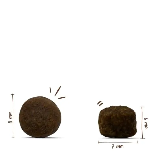 bosch HPC Mini Adult | con agnello e riso | cibo secco per cani adulti di razze piccole (fino a 15 kg) | 15000 g - immagine 7
