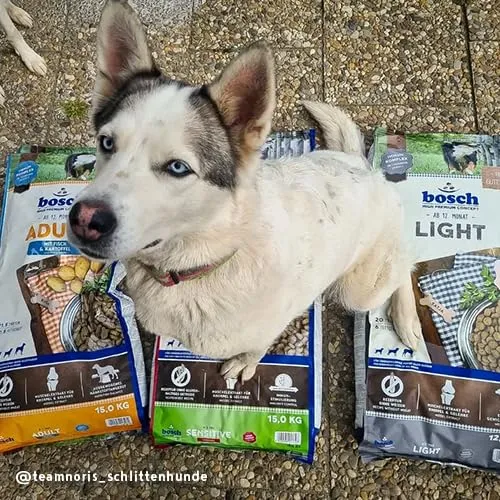 bosch HPC Light | Cibo secco per cani in sovrappeso di tutte le razze | 1 x 2500 g - immagine 5